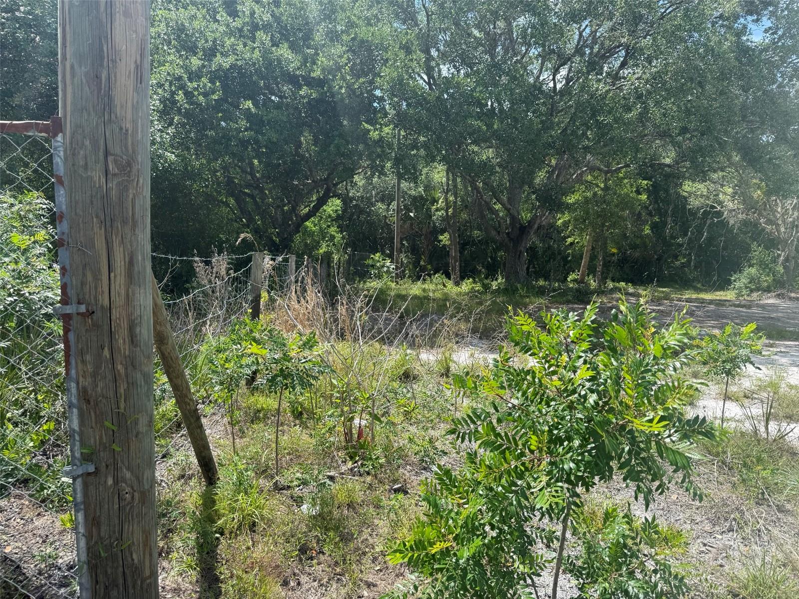 18121 NW 256TH ST, OKEECHOBEE, FL — photo 4