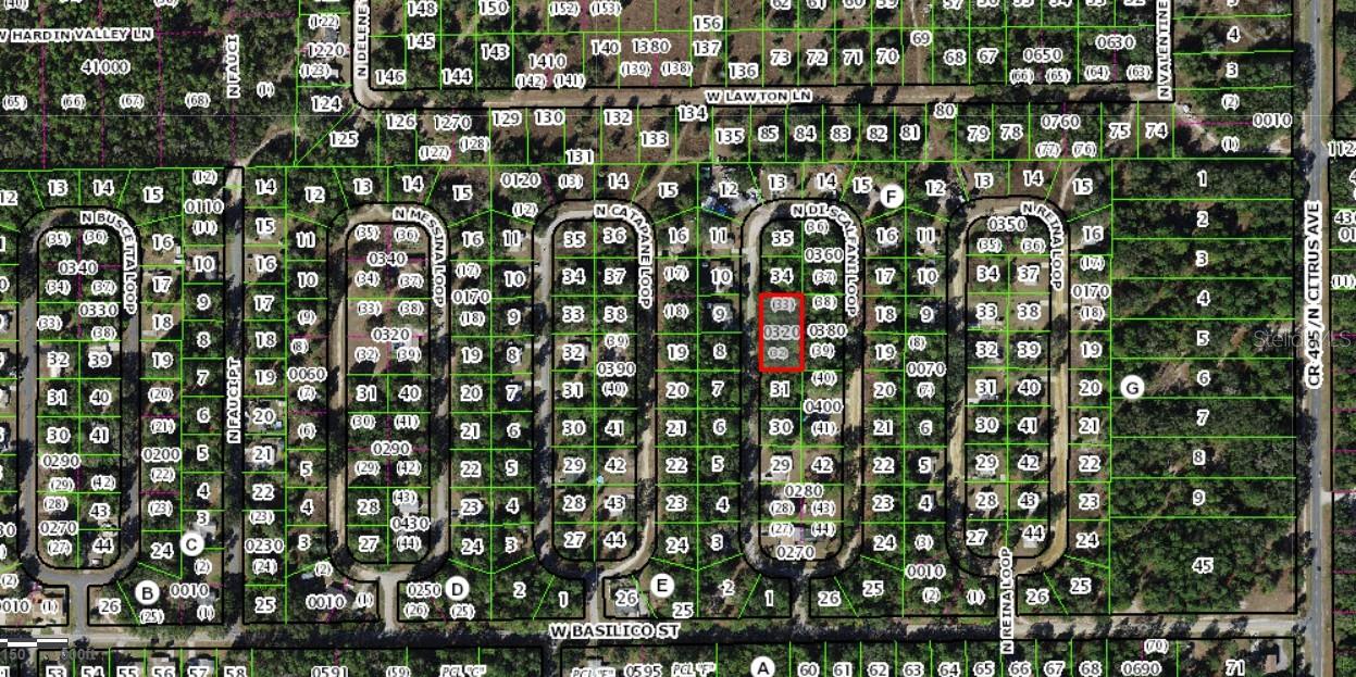 8646 N DISCALFANI LOOP, CRYSTAL RIVER, FL — photo 3