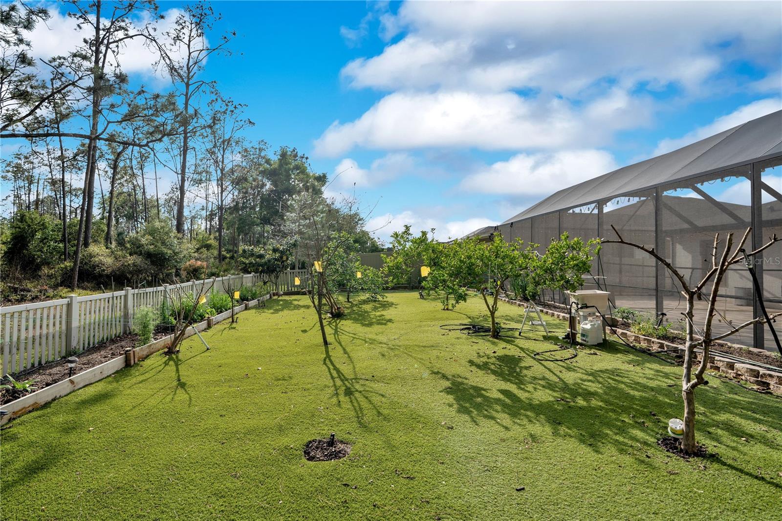 21914 BUTTERFLY KISS DR, LAND O LAKES, FL — photo 38