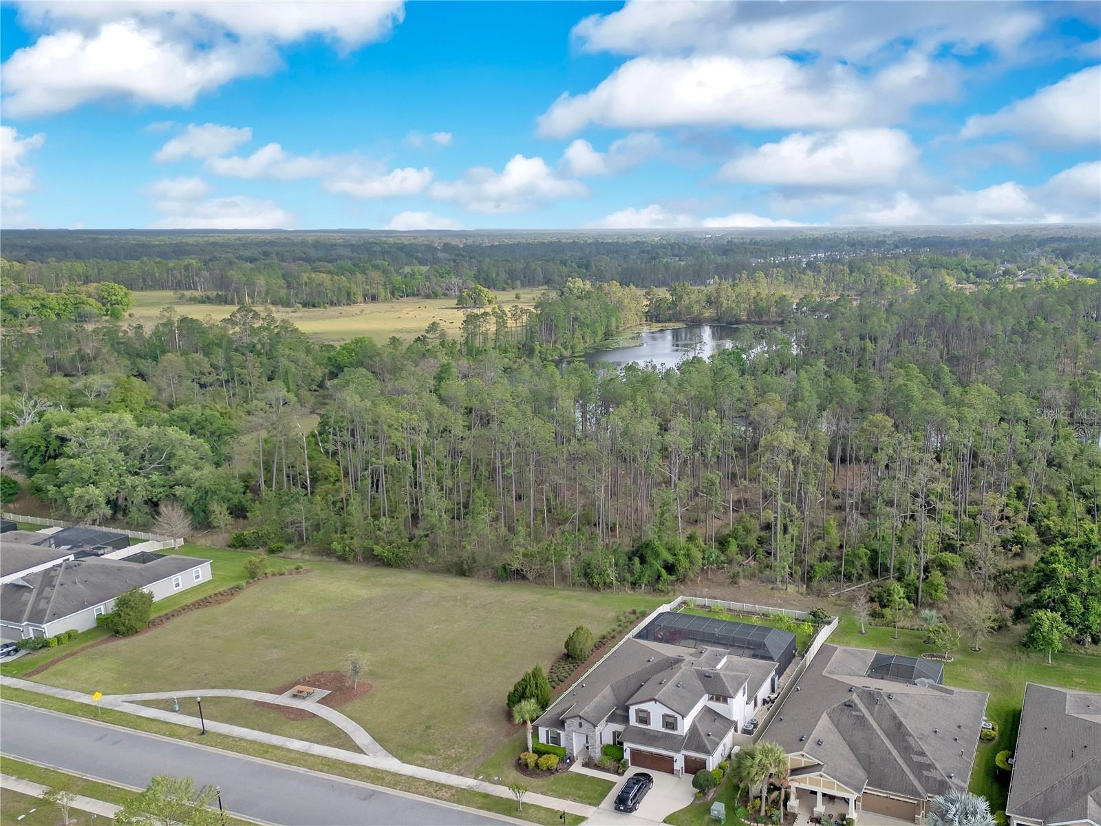 21914 BUTTERFLY KISS DR, LAND O LAKES, FL — photo 45