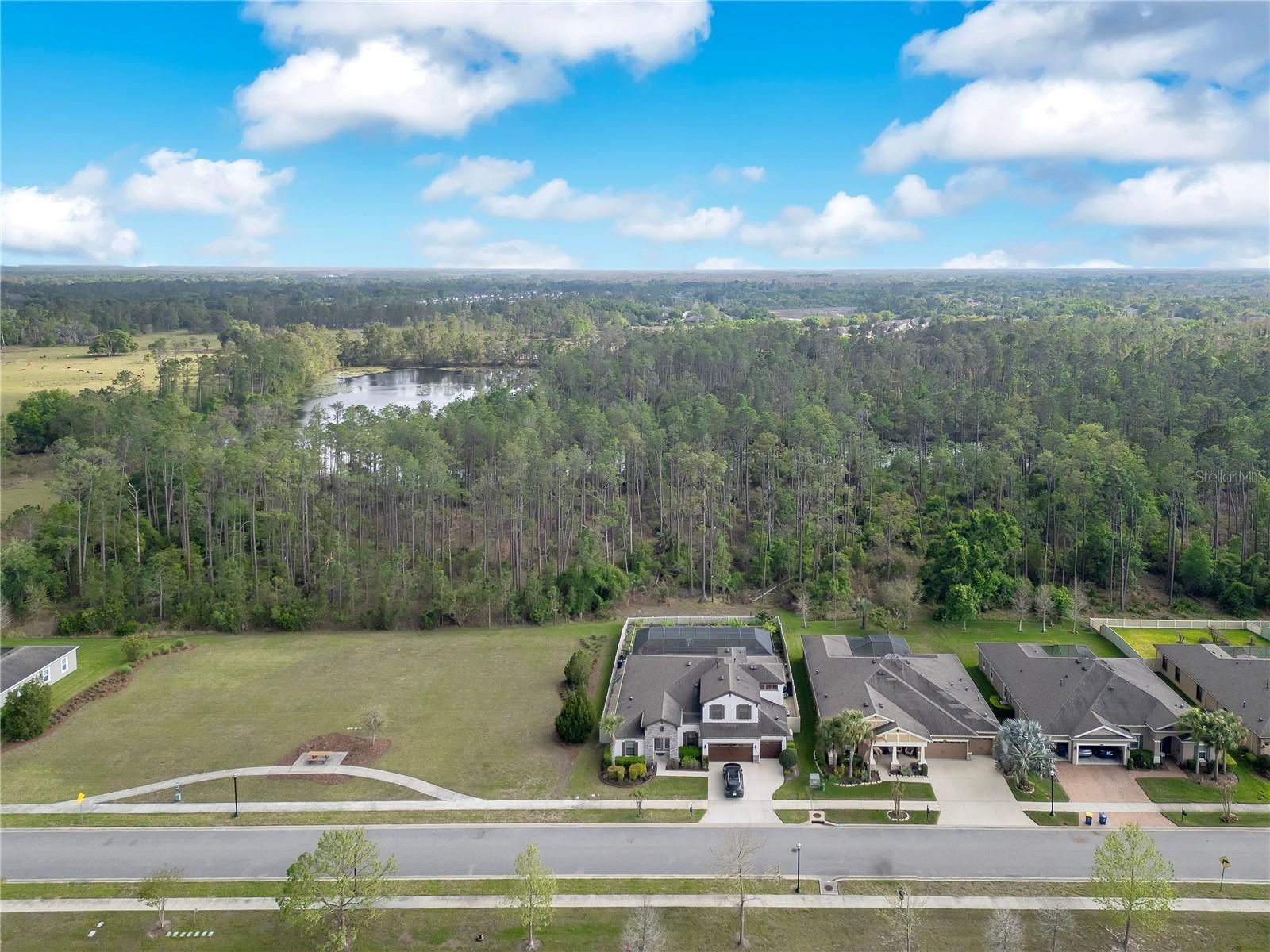 21914 BUTTERFLY KISS DR, LAND O LAKES, FL — photo 46