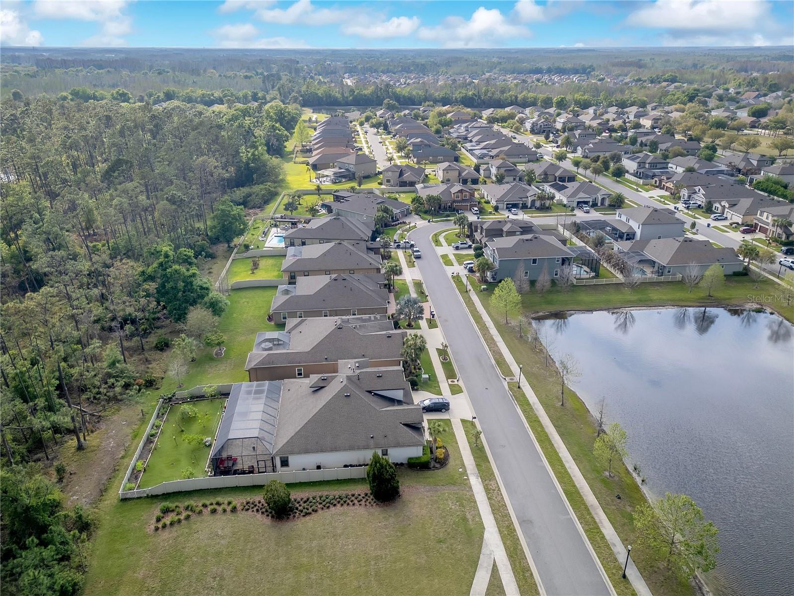 21914 BUTTERFLY KISS DR, LAND O LAKES, FL — photo 51