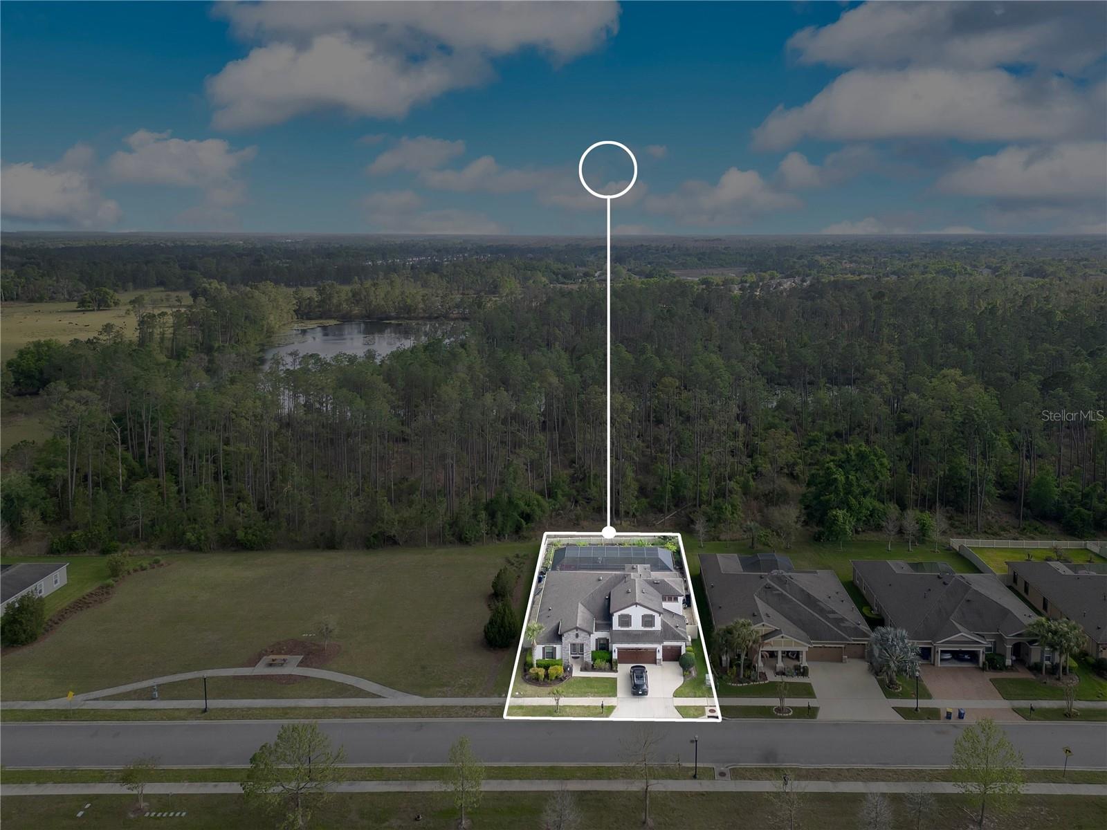 21914 BUTTERFLY KISS DR, LAND O LAKES, FL — photo 57