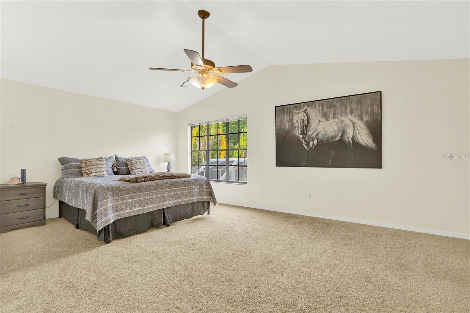 11419 DONNEYMOOR DR, RIVERVIEW, FL — photo 11