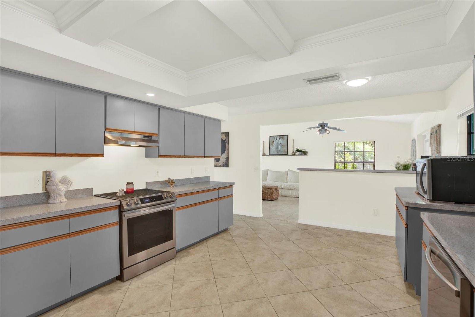 11419 DONNEYMOOR DR, RIVERVIEW, FL — photo 13