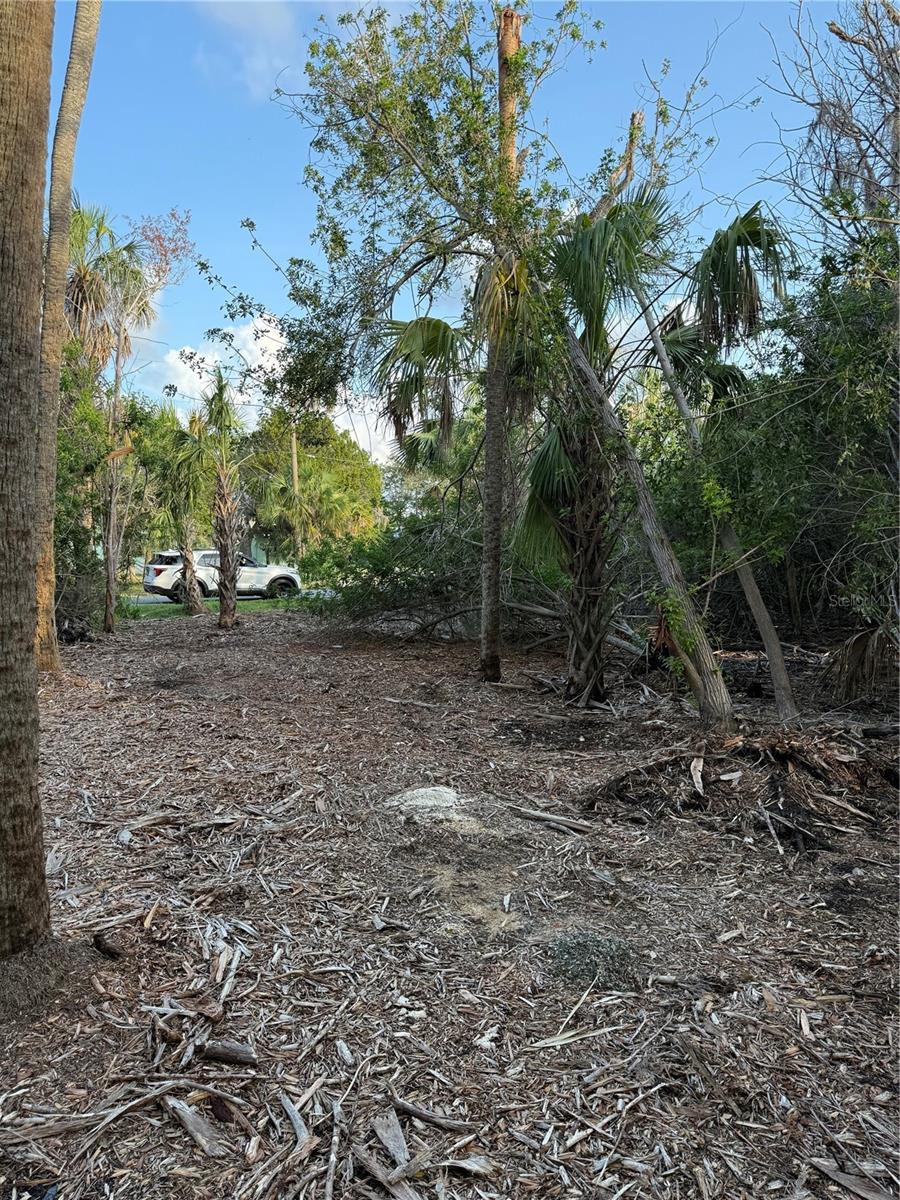 1471 S ESTUARY DR, CRYSTAL RIVER, FL — photo 3