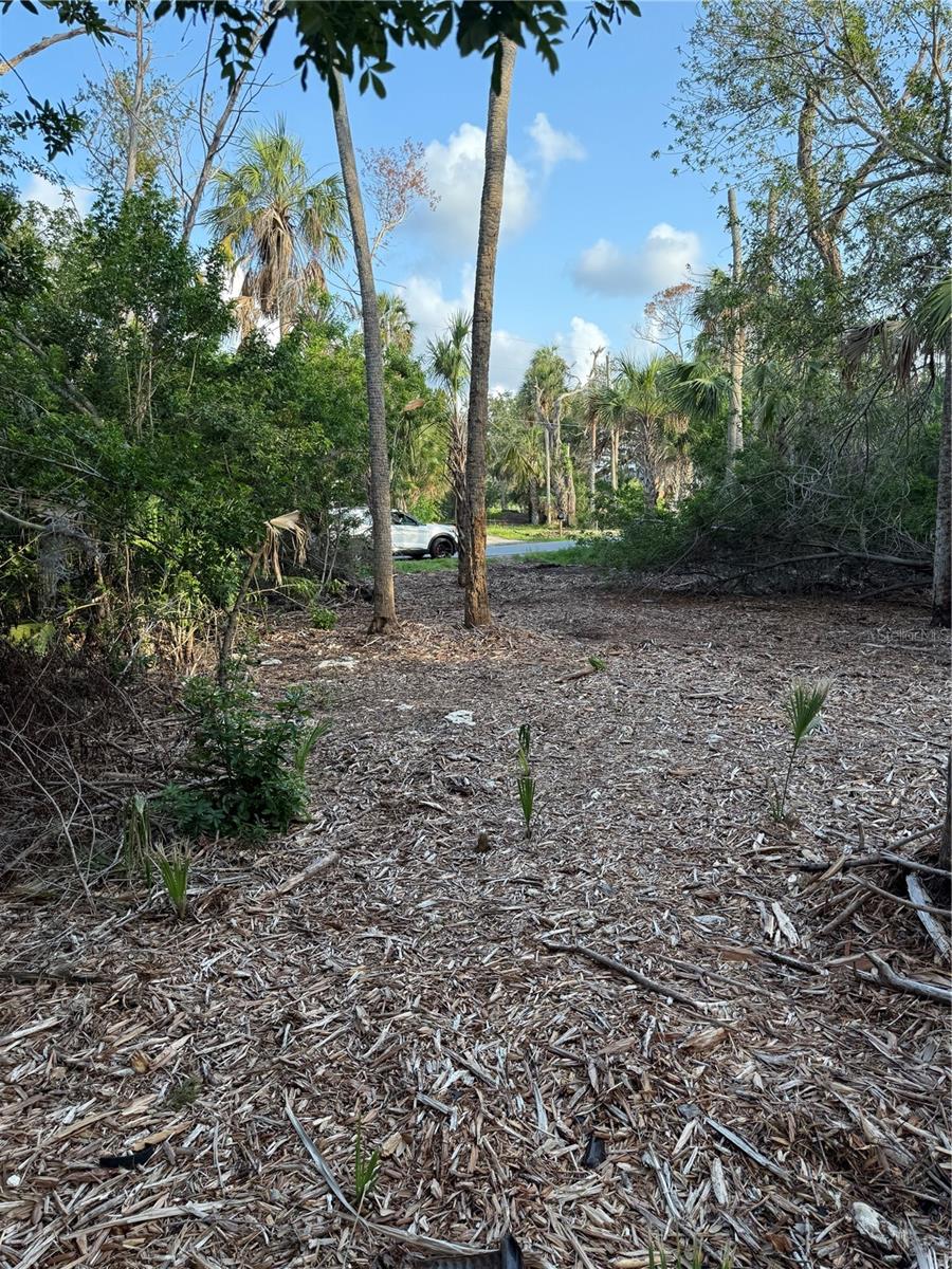 1471 S ESTUARY DR, CRYSTAL RIVER, FL — photo 4