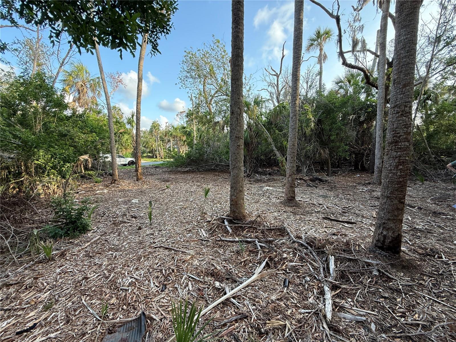 1471 S ESTUARY DR, CRYSTAL RIVER, FL — photo 5
