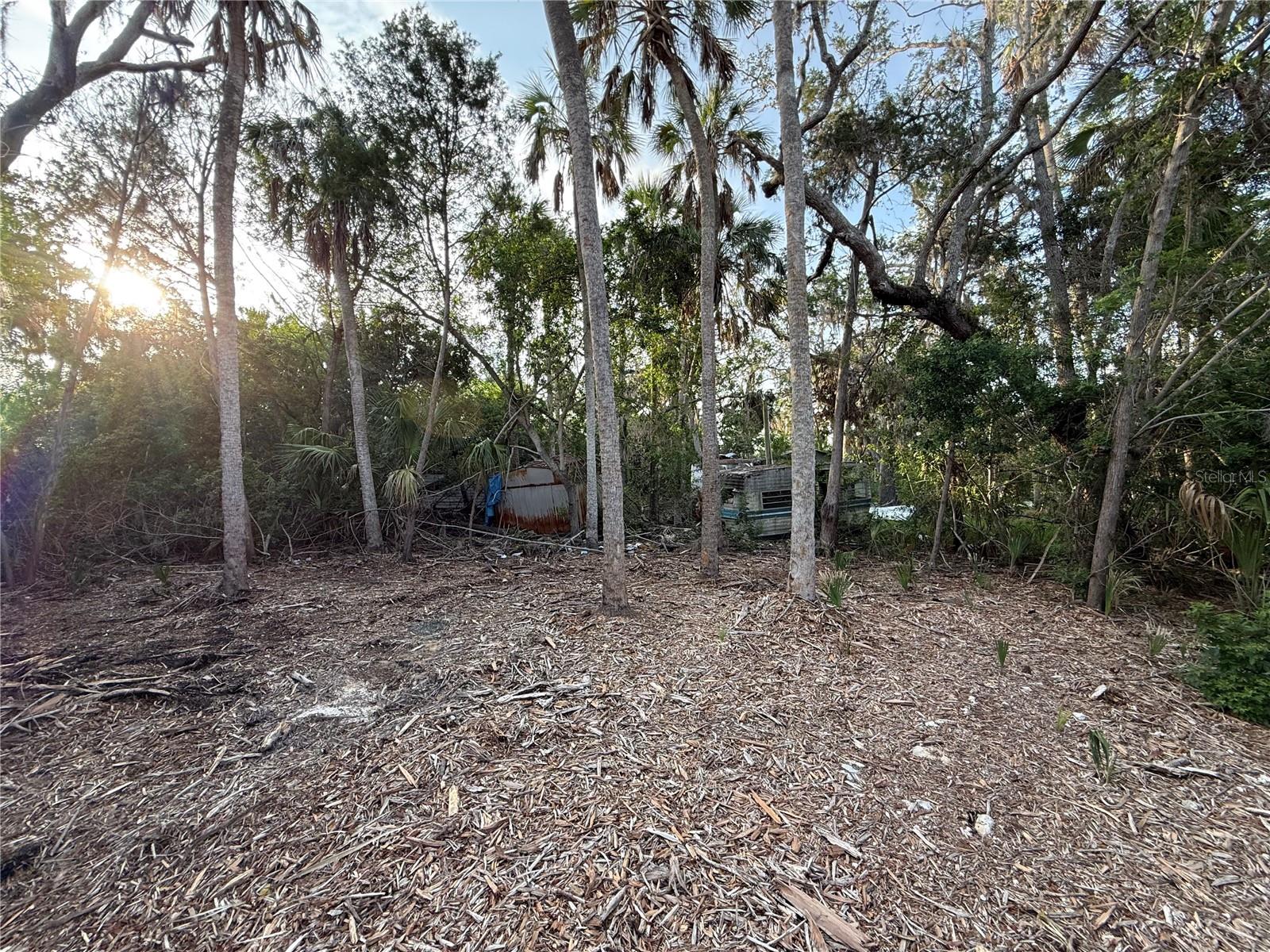 1471 S ESTUARY DR, CRYSTAL RIVER, FL — photo 6