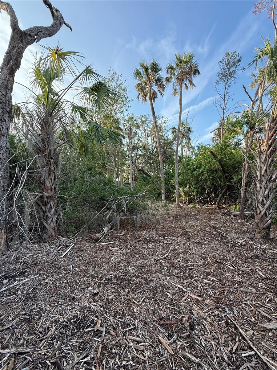 1471 S ESTUARY DR, CRYSTAL RIVER, FL — photo 7