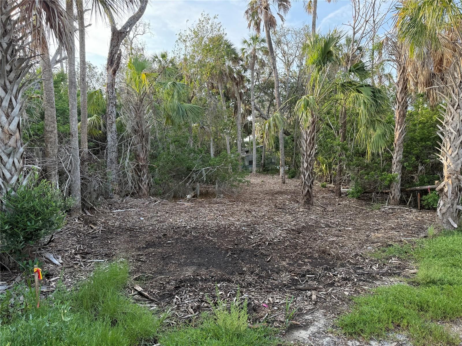 1471 S ESTUARY DR, CRYSTAL RIVER, FL — photo 8