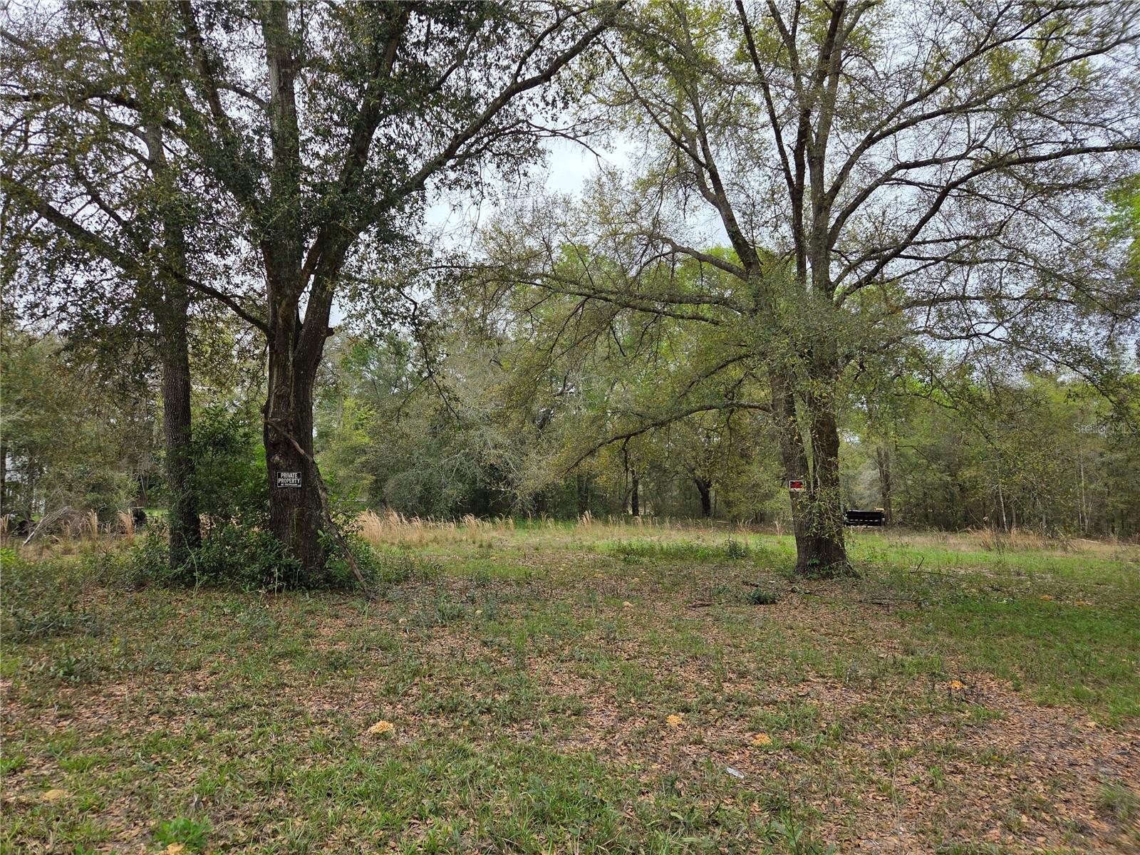 5870 NE 139TH AVE, WILLISTON, FL