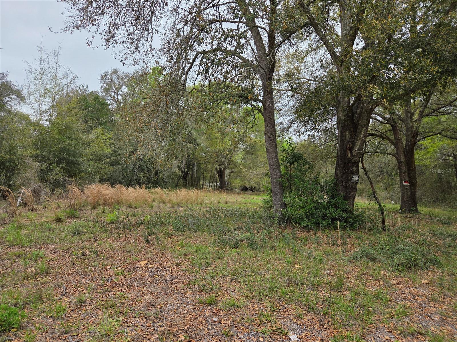 5870 NE 139TH AVE, WILLISTON, FL — photo 2