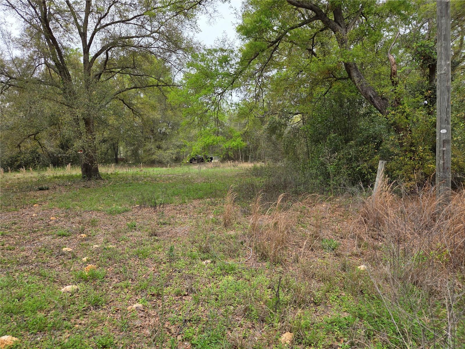 5870 NE 139TH AVE, WILLISTON, FL — photo 3