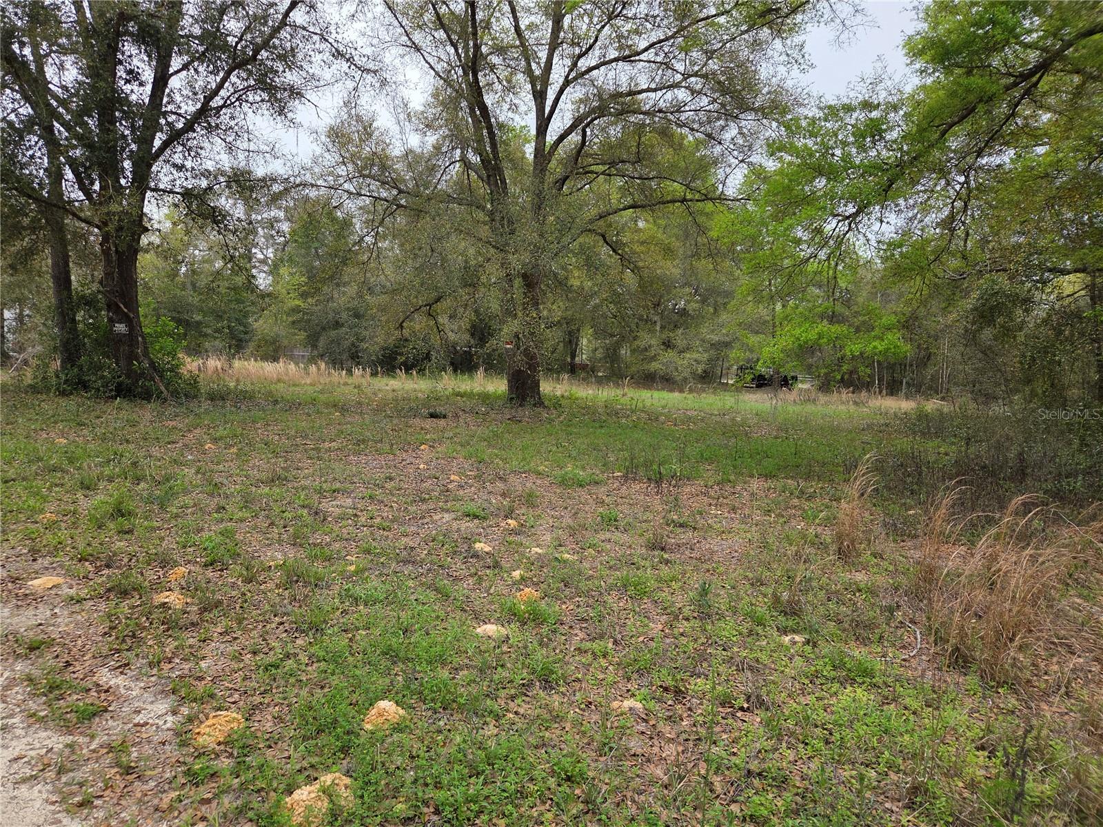 5870 NE 139TH AVE, WILLISTON, FL — photo 4