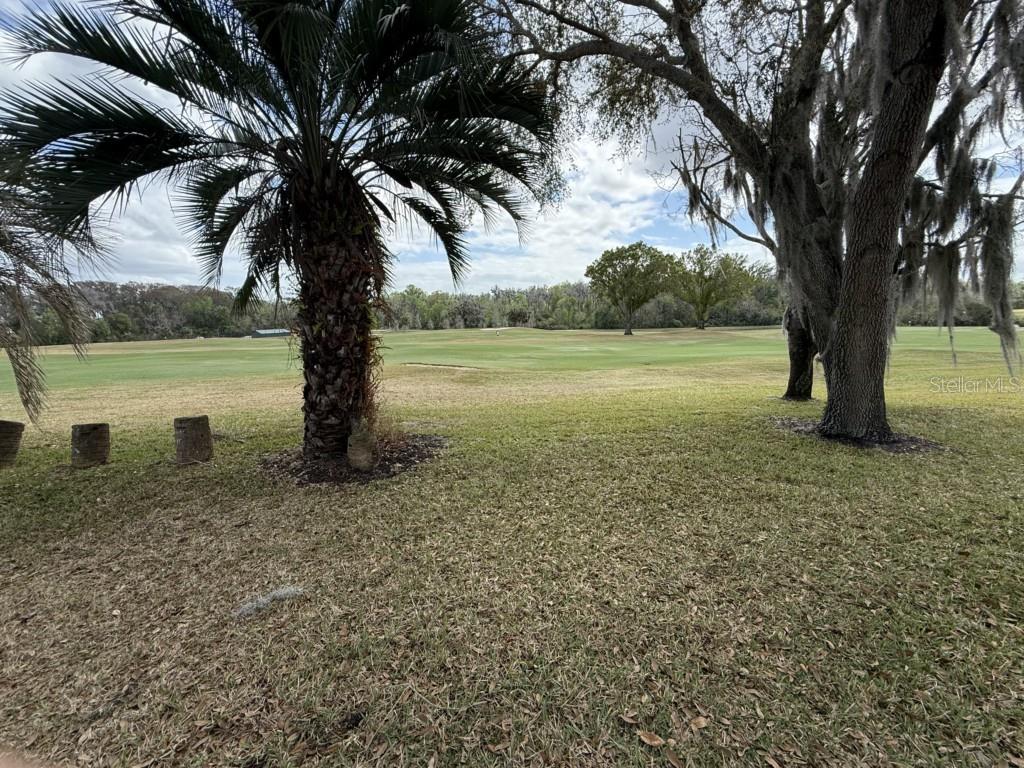 26812 BELLA VISTA DR, HOWEY IN THE HILLS, FL — photo 7