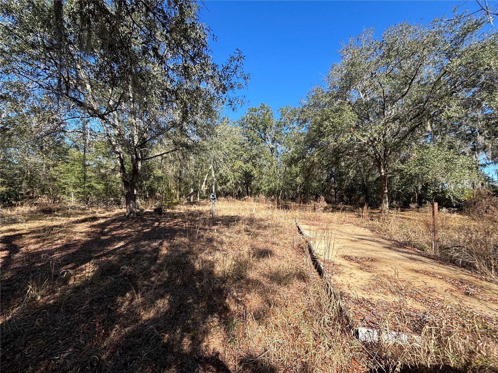 1077 NW HAMP FARMER RD, LAKE CITY, FL — photo 2