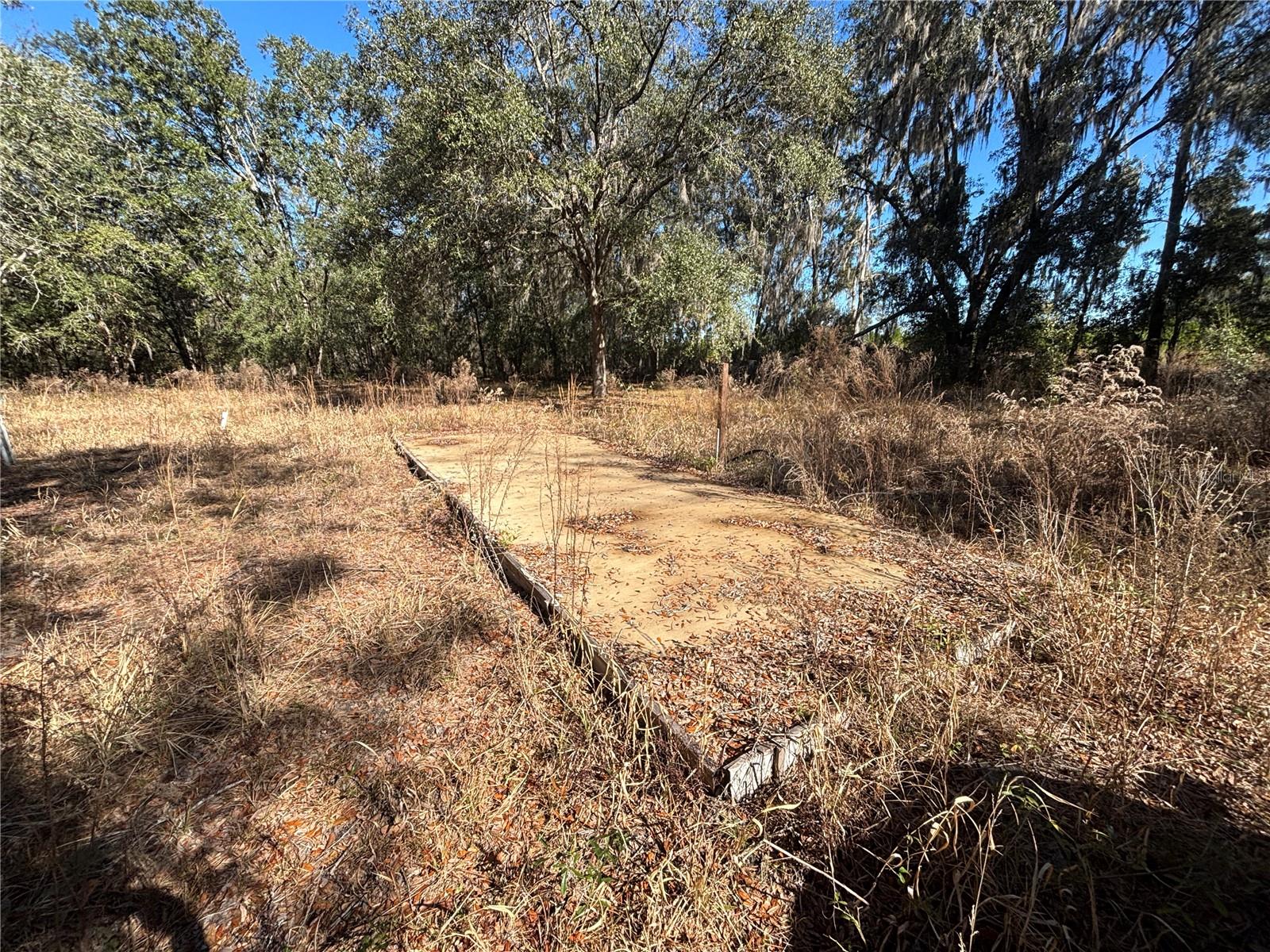 1077 NW HAMP FARMER RD, LAKE CITY, FL — photo 3