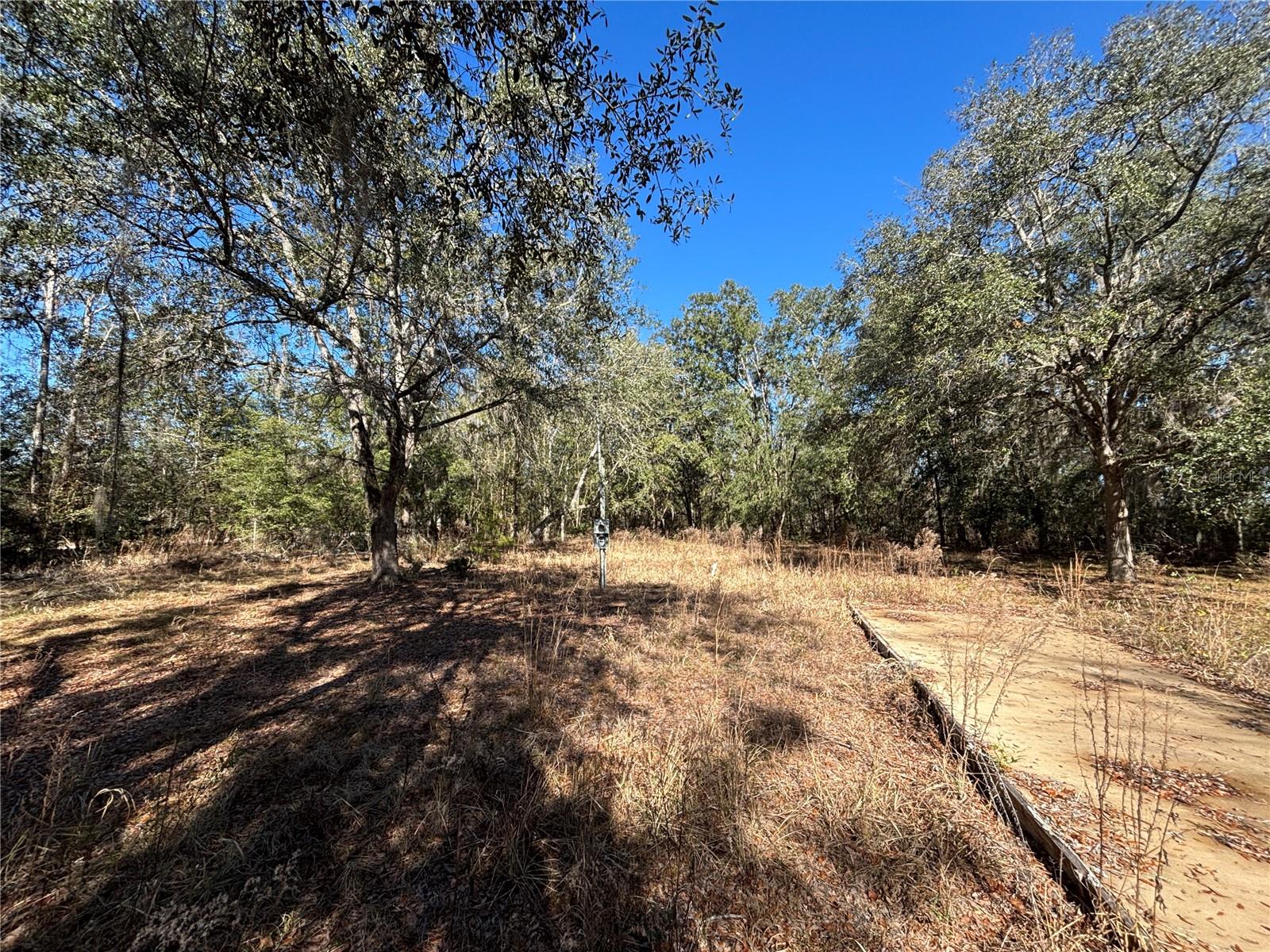 1077 NW HAMP FARMER RD, LAKE CITY, FL — photo 4