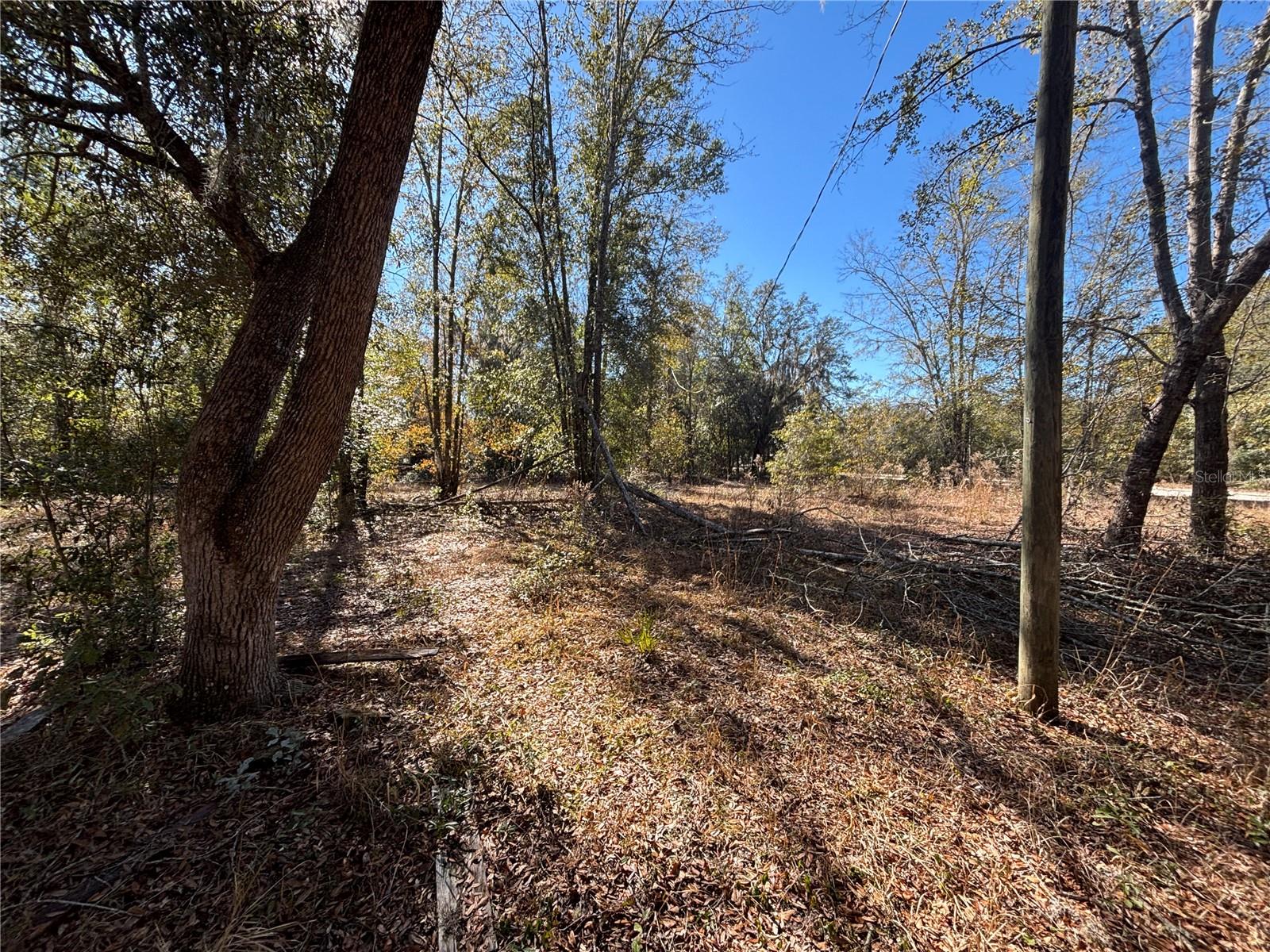 1077 NW HAMP FARMER RD, LAKE CITY, FL — photo 6