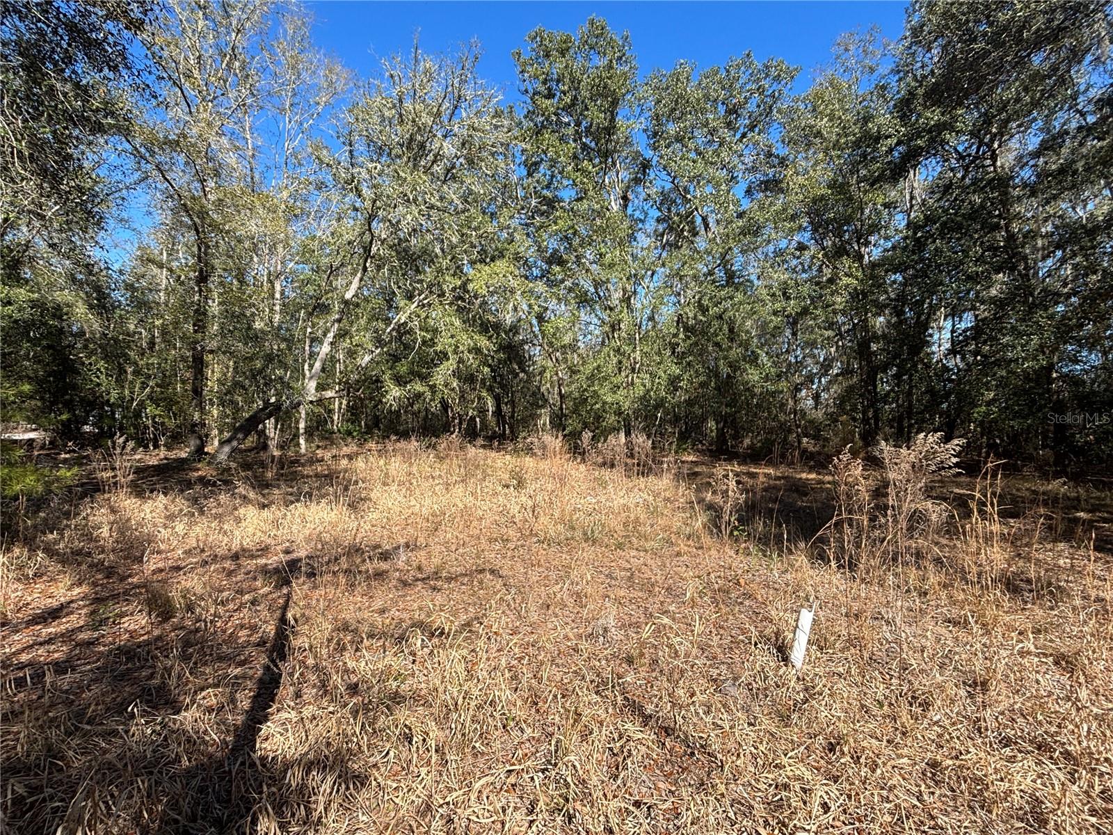 1077 NW HAMP FARMER RD, LAKE CITY, FL — photo 8