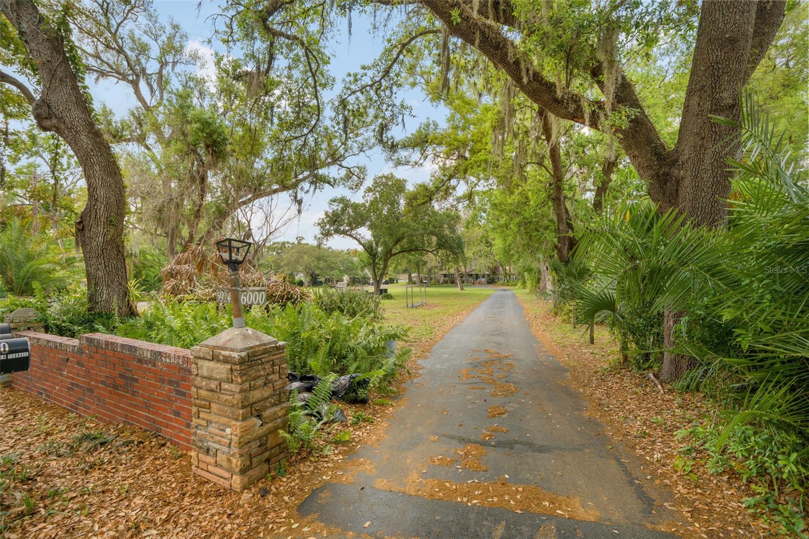 5924 RIVER TER, TAMPA, FL — photo 2