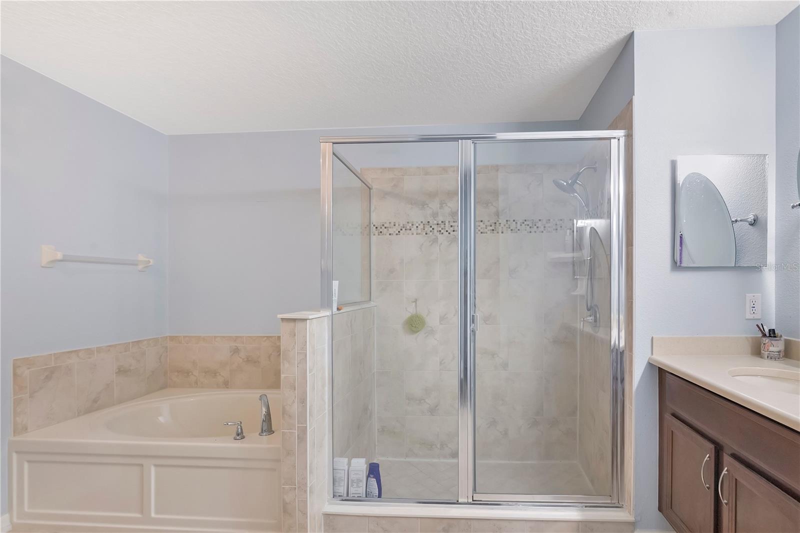 21714 BELGIAN CT, MOUNT DORA, FL — photo 31