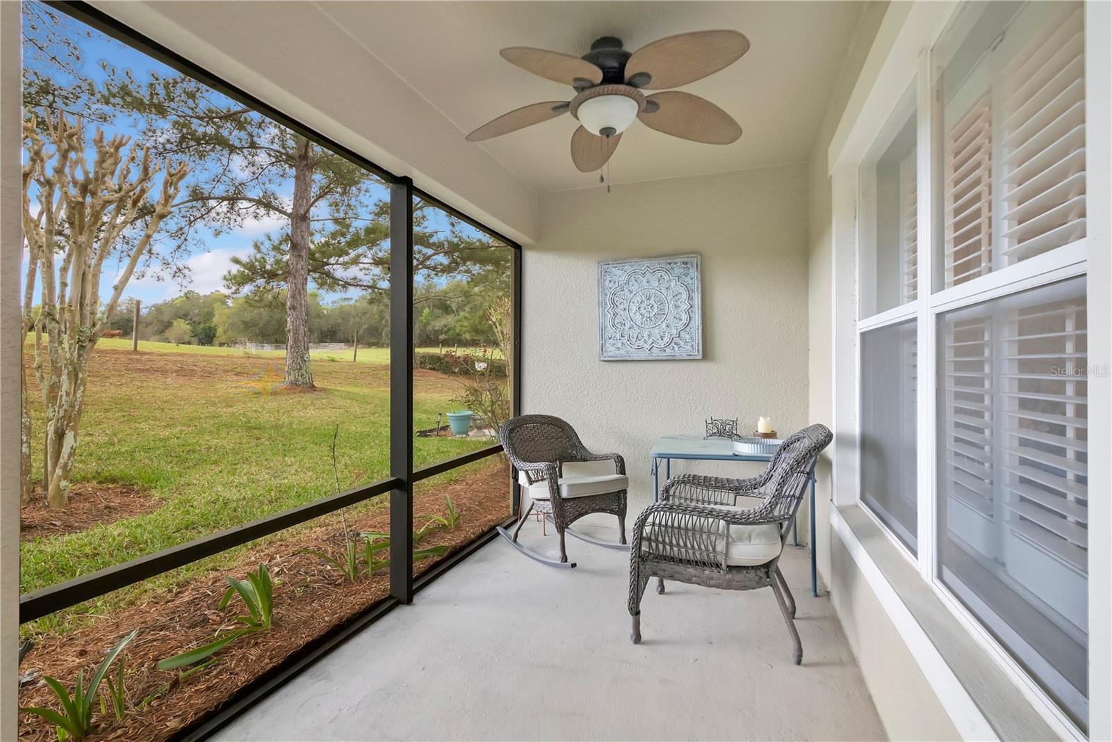 21714 BELGIAN CT, MOUNT DORA, FL — photo 38