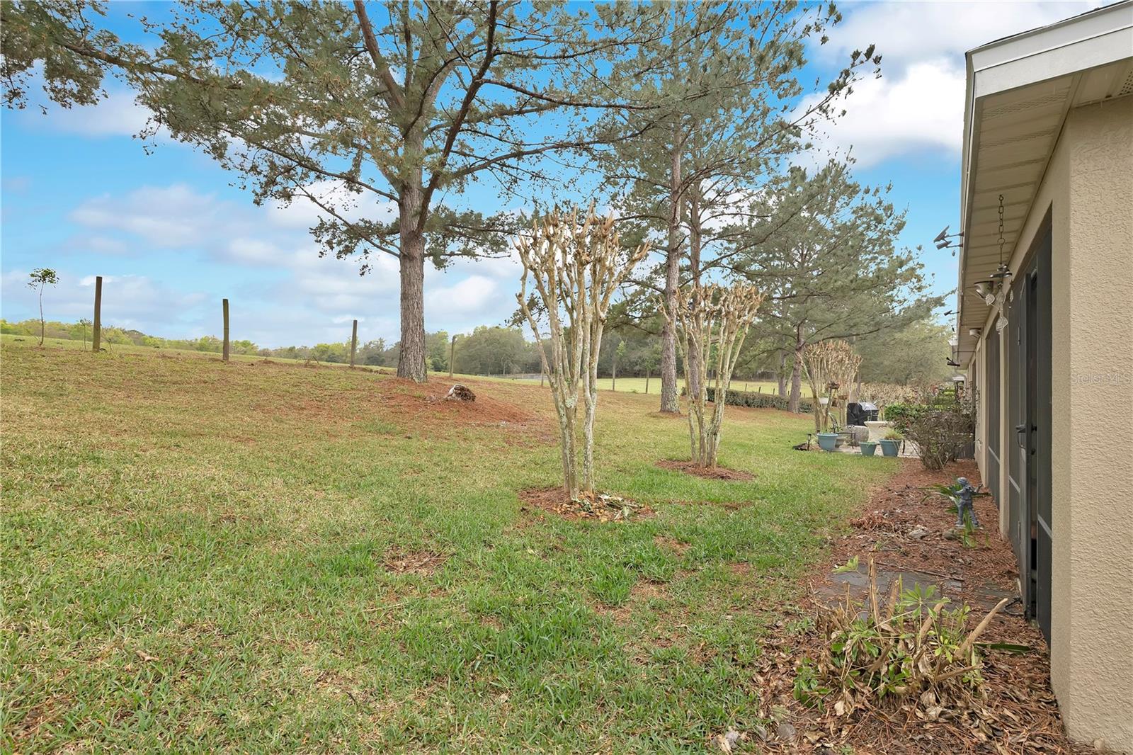 21714 BELGIAN CT, MOUNT DORA, FL — photo 44