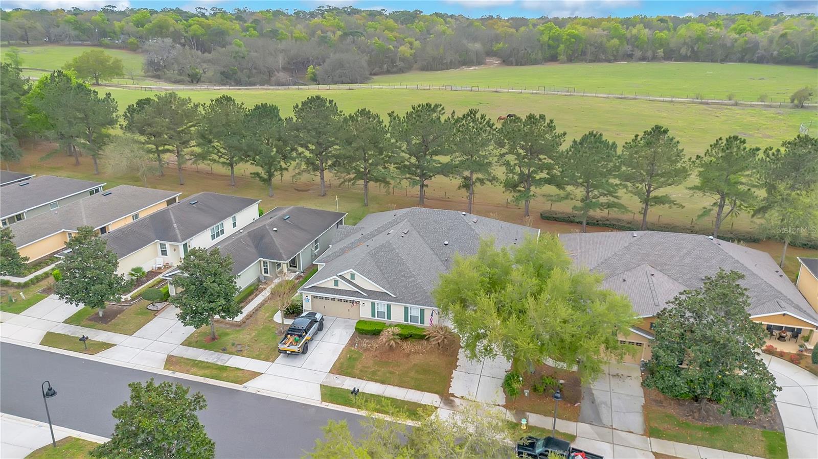21714 BELGIAN CT, MOUNT DORA, FL — photo 51