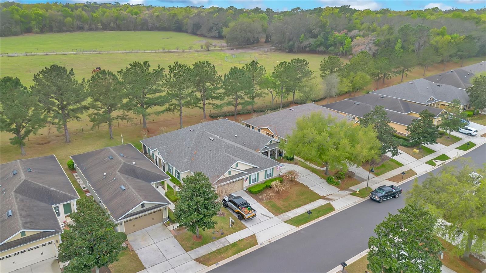 21714 BELGIAN CT, MOUNT DORA, FL — photo 54