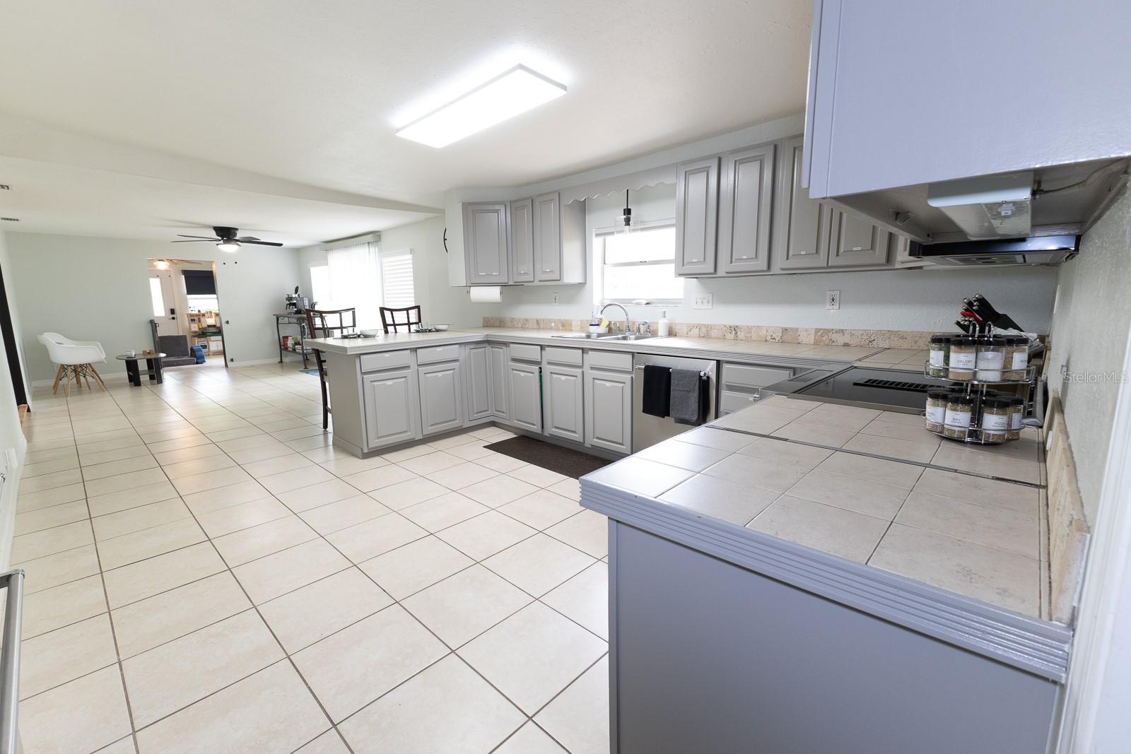 207 MANDARIN LN, FRUITLAND PARK, FL — photo 88