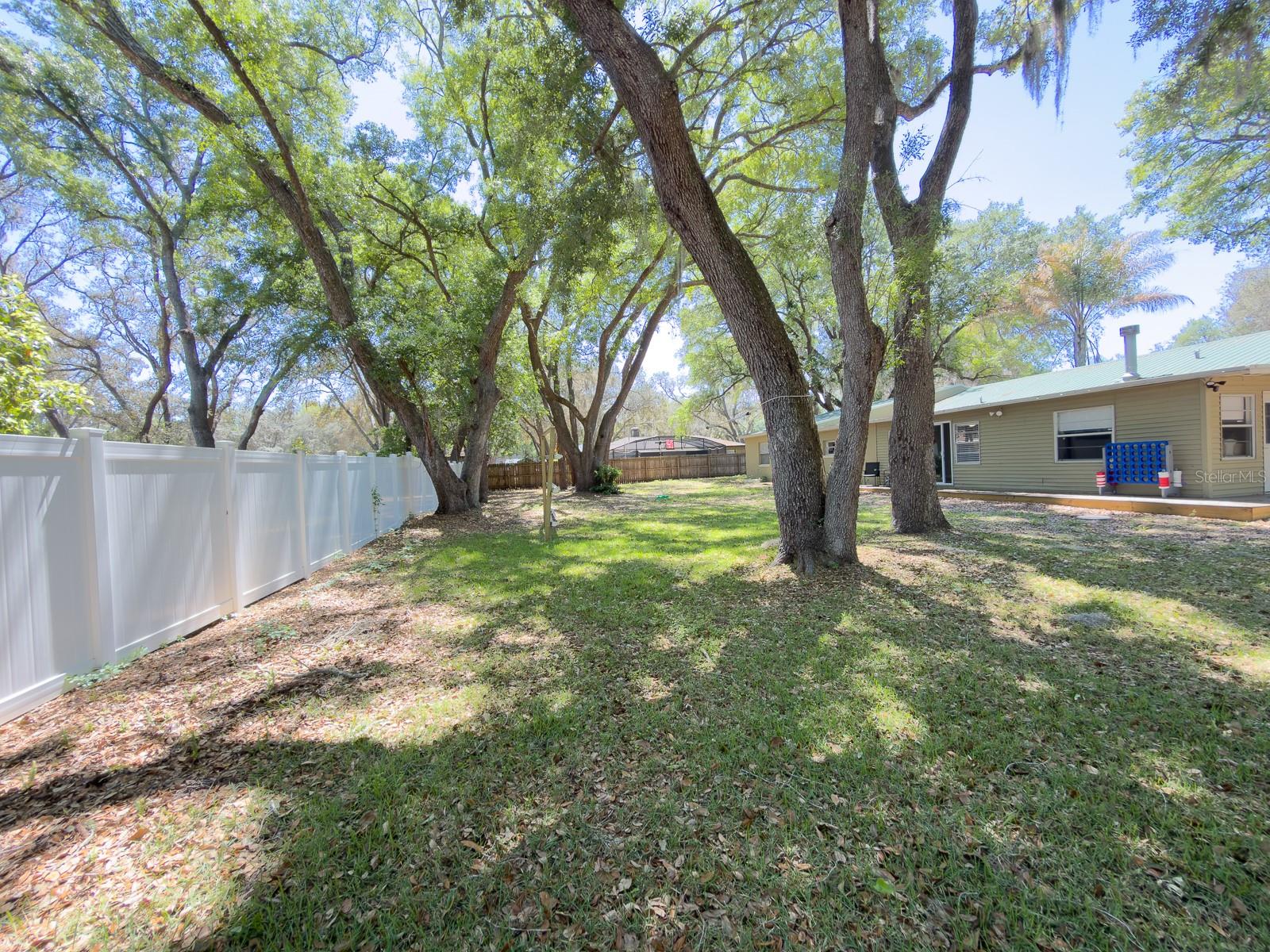207 MANDARIN LN, FRUITLAND PARK, FL — photo 140