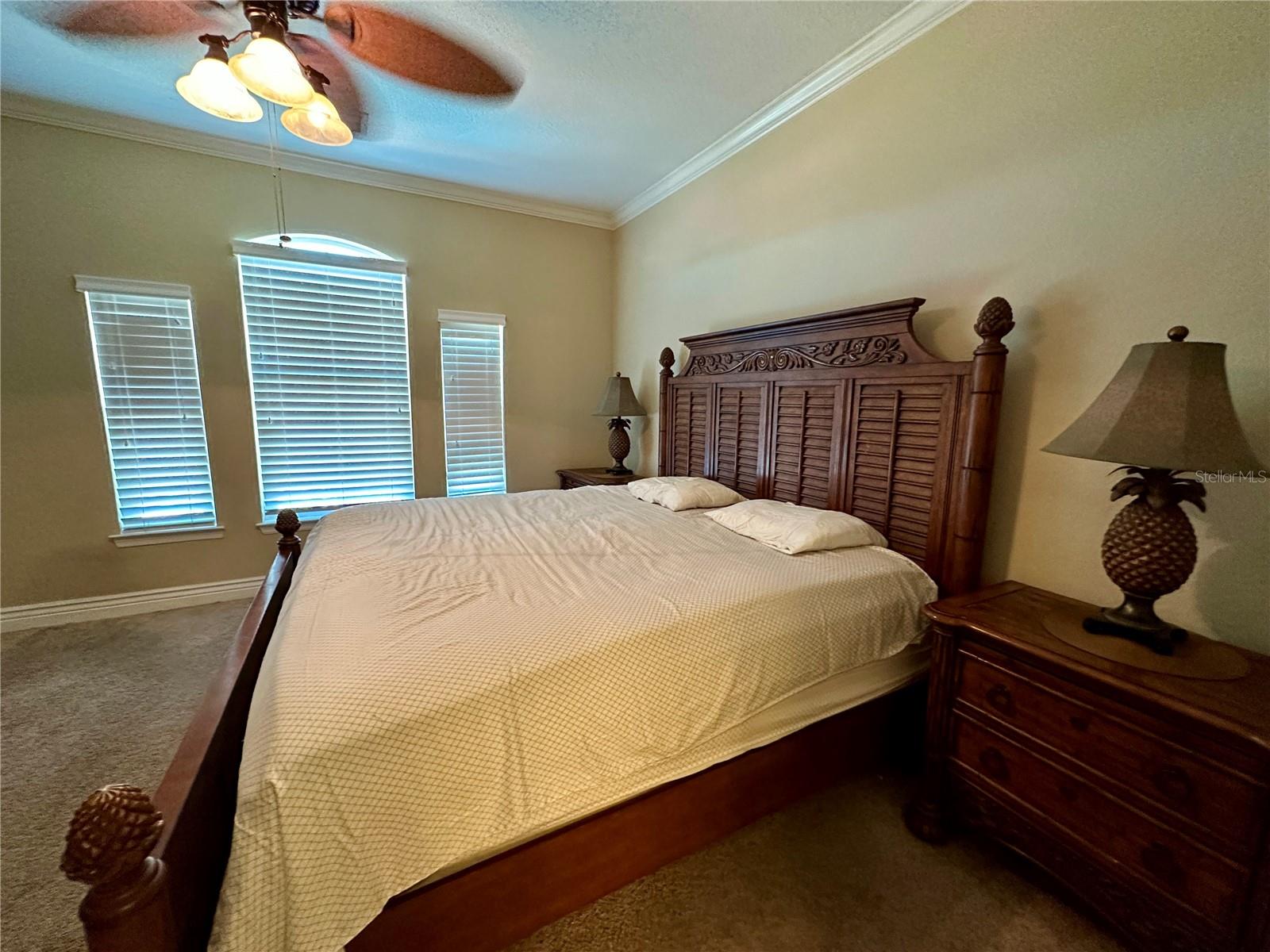 2724 VIA MURANO #638, CLEARWATER, FL — photo 19