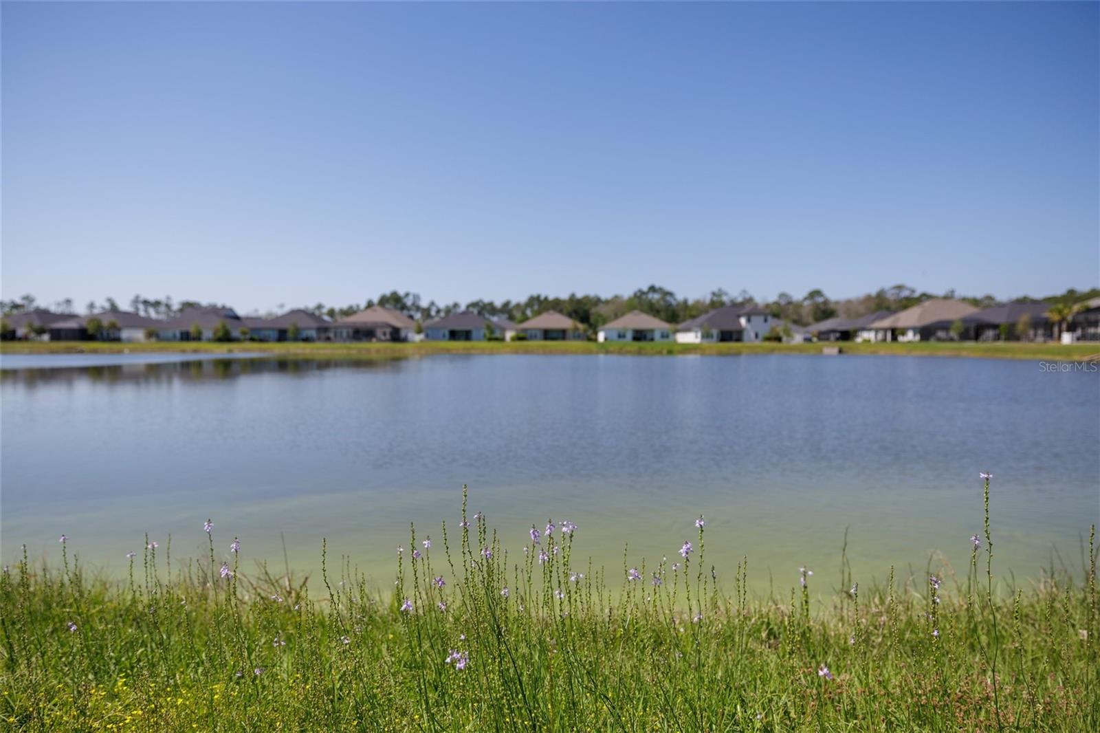139 WOOD STORK LN, PALM COAST, FL — photo 34