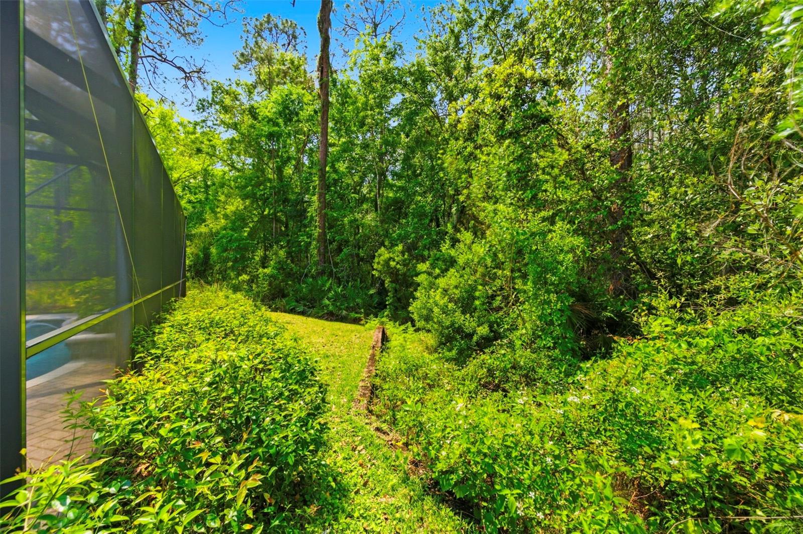 4120 RIDGEMOOR DR, PALM HARBOR, FL — photo 46