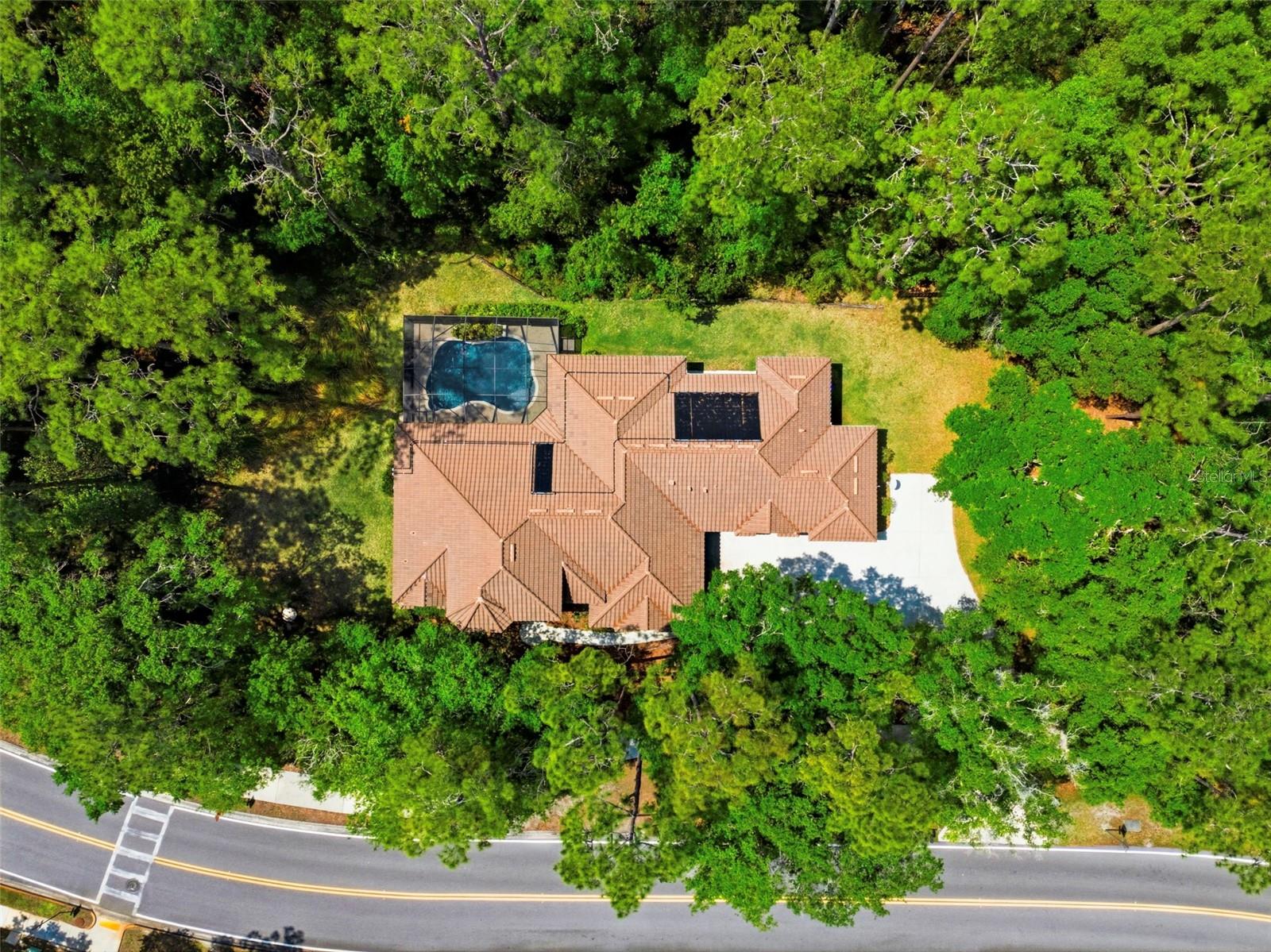 4120 RIDGEMOOR DR, PALM HARBOR, FL — photo 51