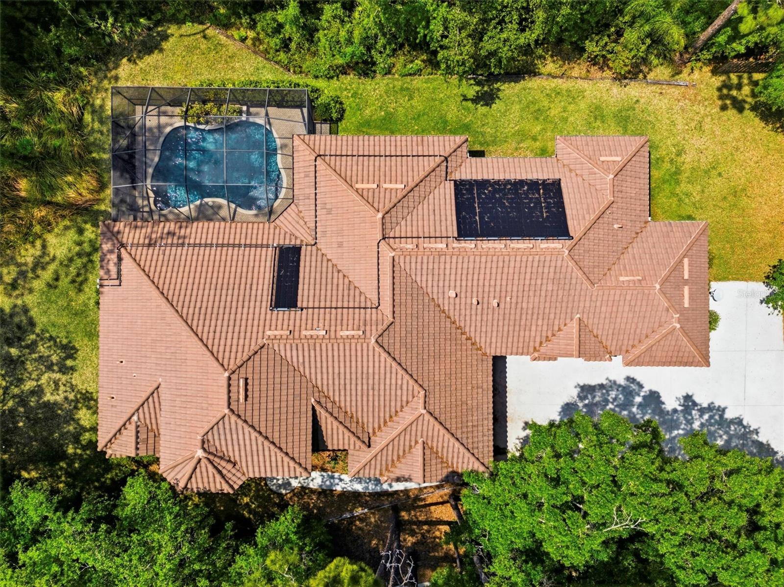 4120 RIDGEMOOR DR, PALM HARBOR, FL — photo 52