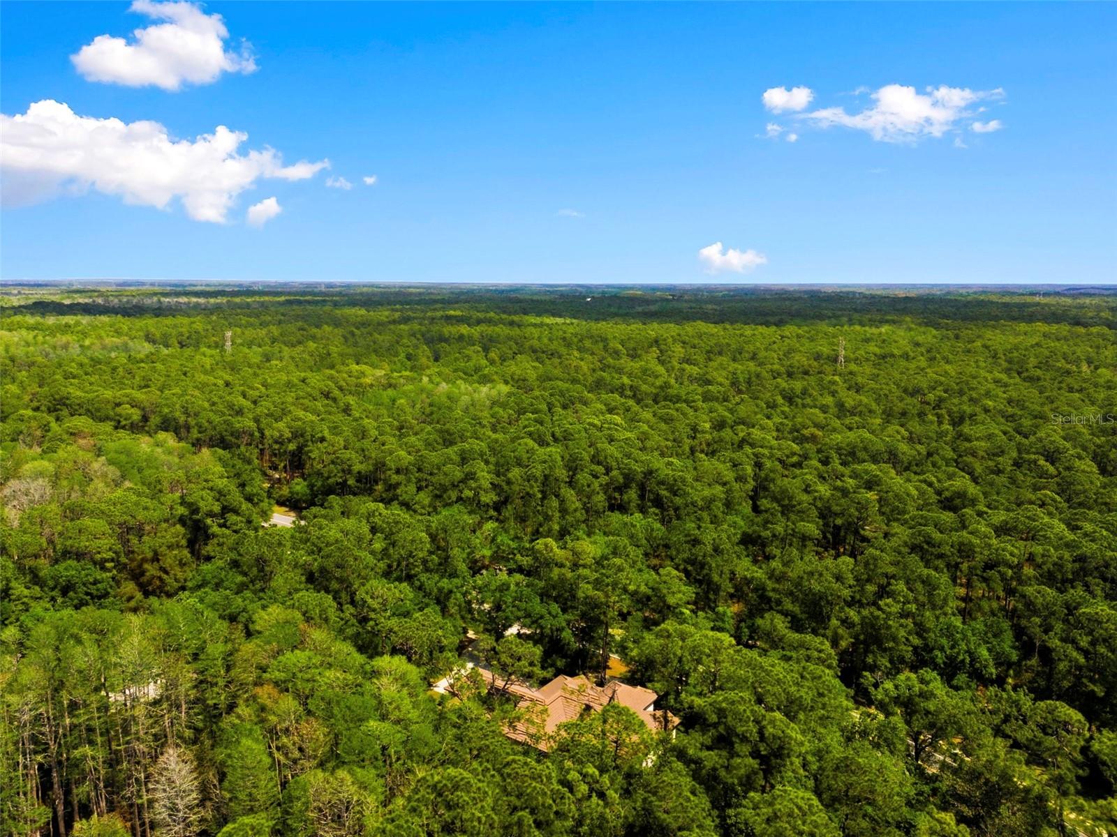 4120 RIDGEMOOR DR, PALM HARBOR, FL — photo 54
