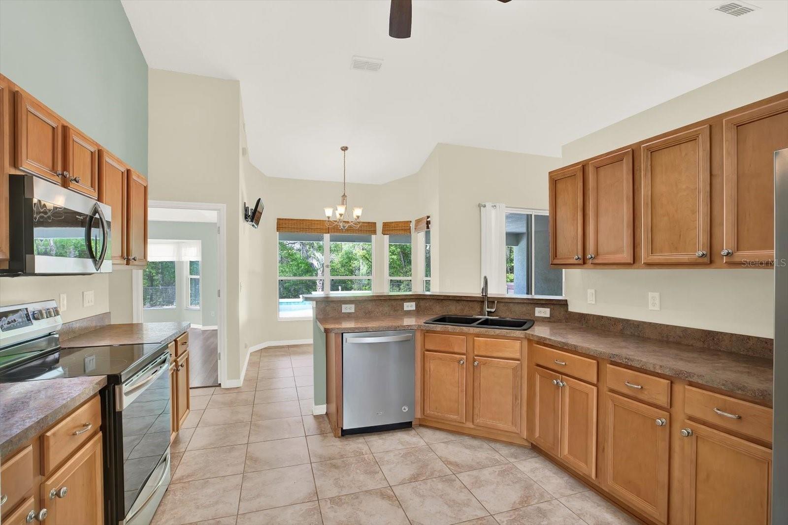 1155 E BLUEBIRD CT, HERNANDO, FL — photo 20