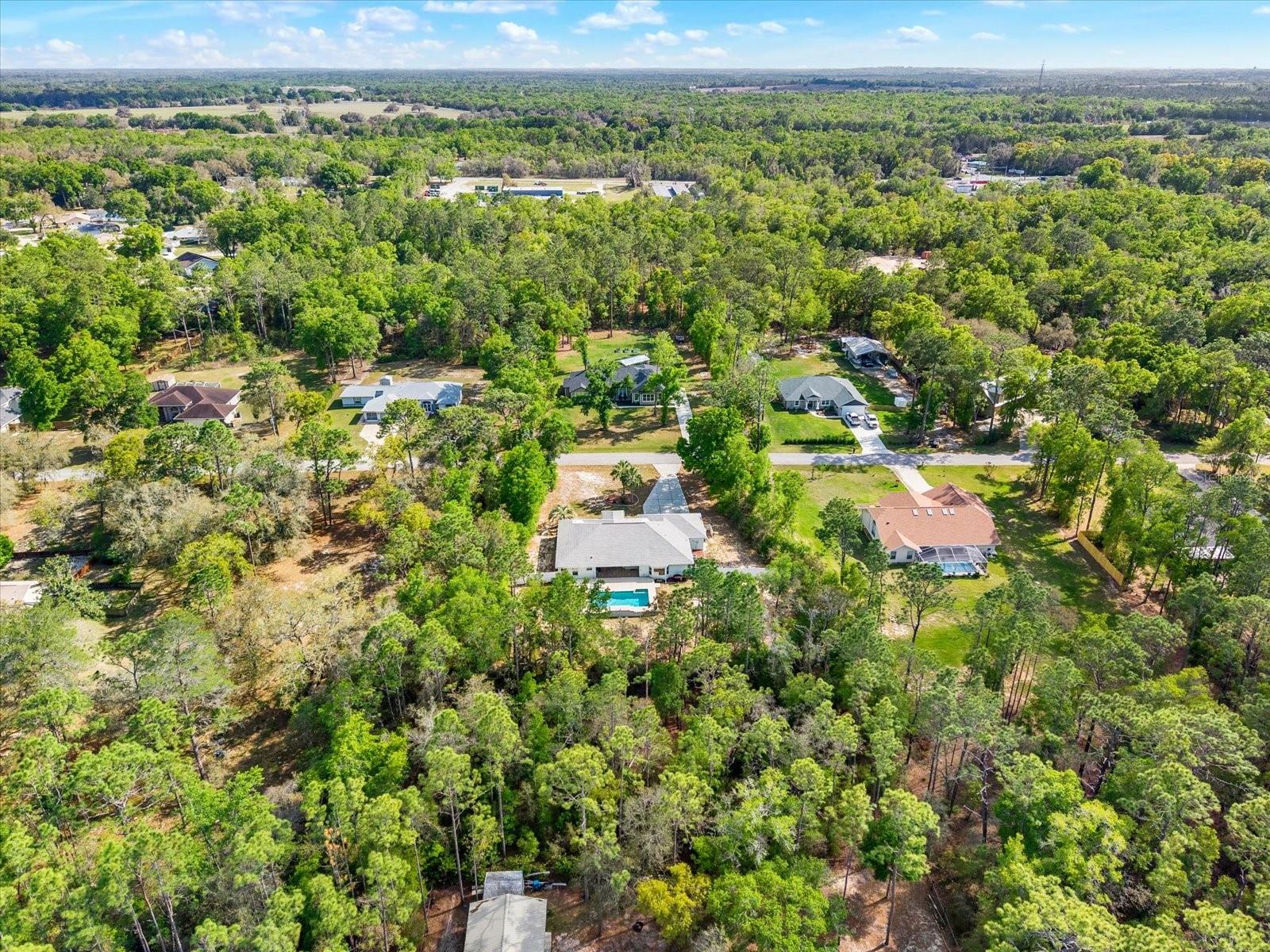 1155 E BLUEBIRD CT, HERNANDO, FL — photo 56