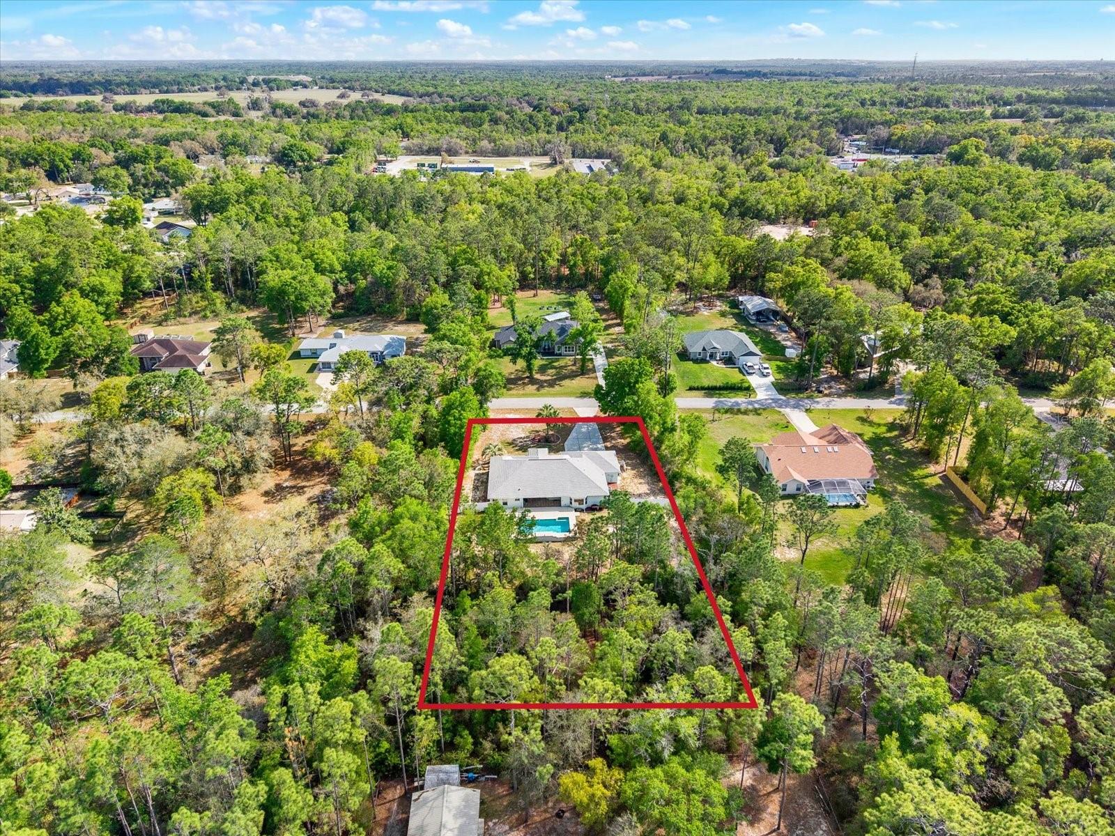 1155 E BLUEBIRD CT, HERNANDO, FL — photo 57