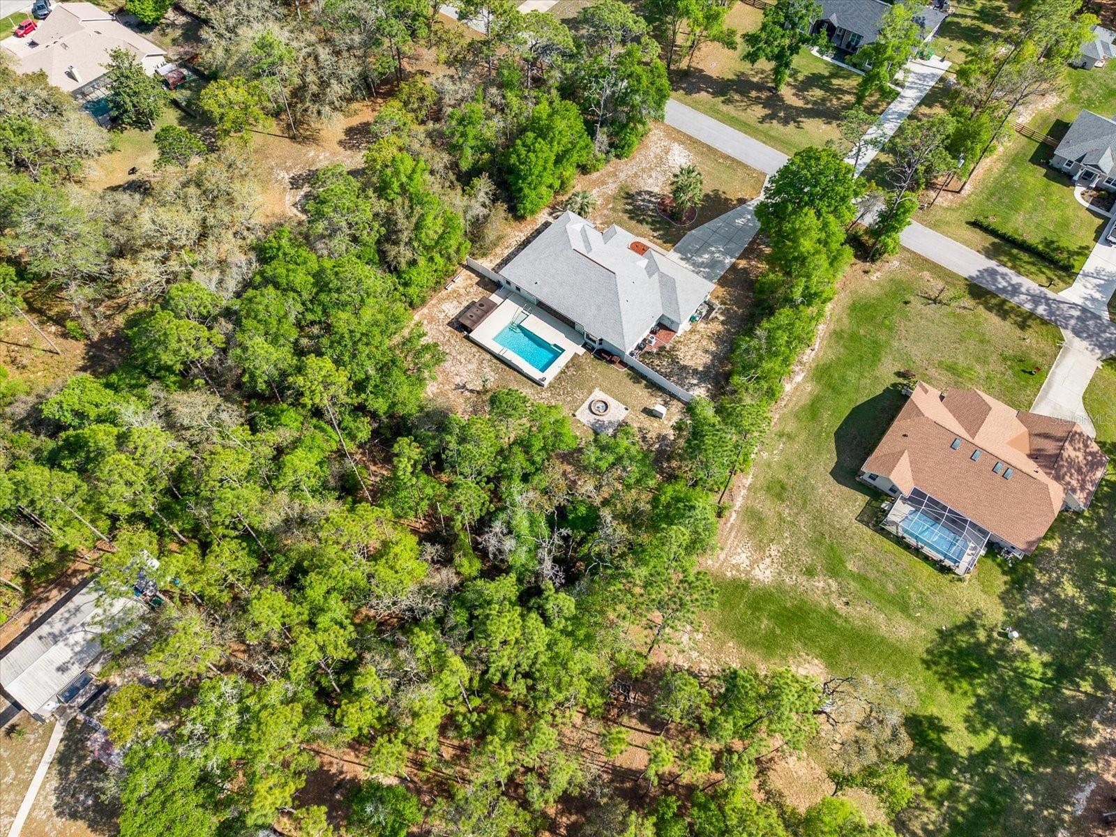 1155 E BLUEBIRD CT, HERNANDO, FL — photo 59