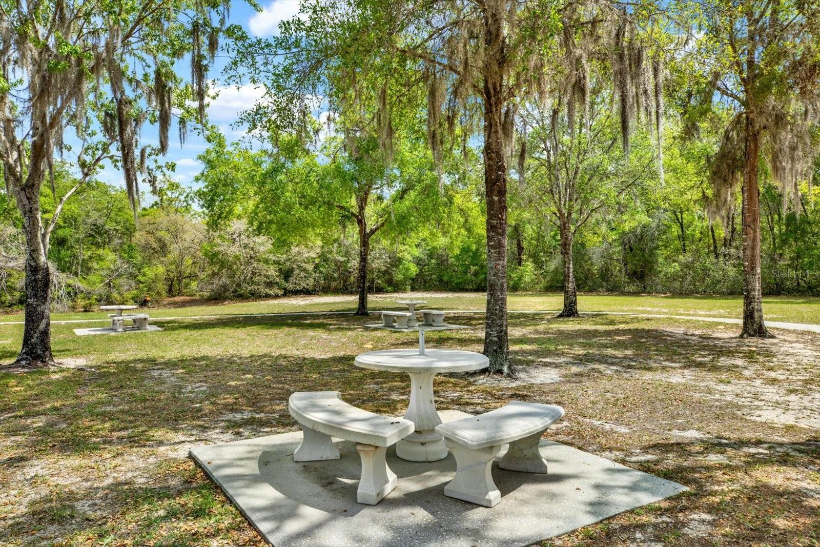 1155 E BLUEBIRD CT, HERNANDO, FL — photo 64