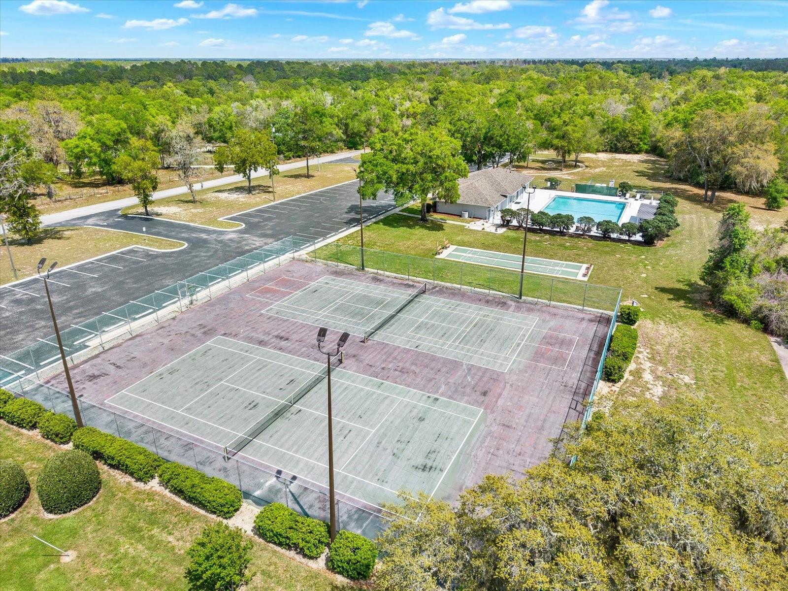 1155 E BLUEBIRD CT, HERNANDO, FL — photo 65