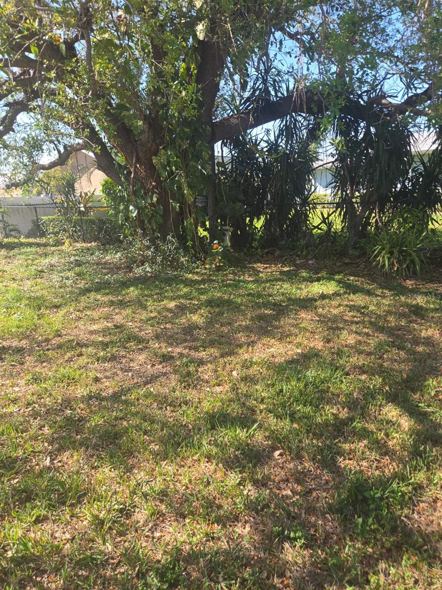 1805 CORAL POINT DR, CAPE CORAL, FL — photo 29