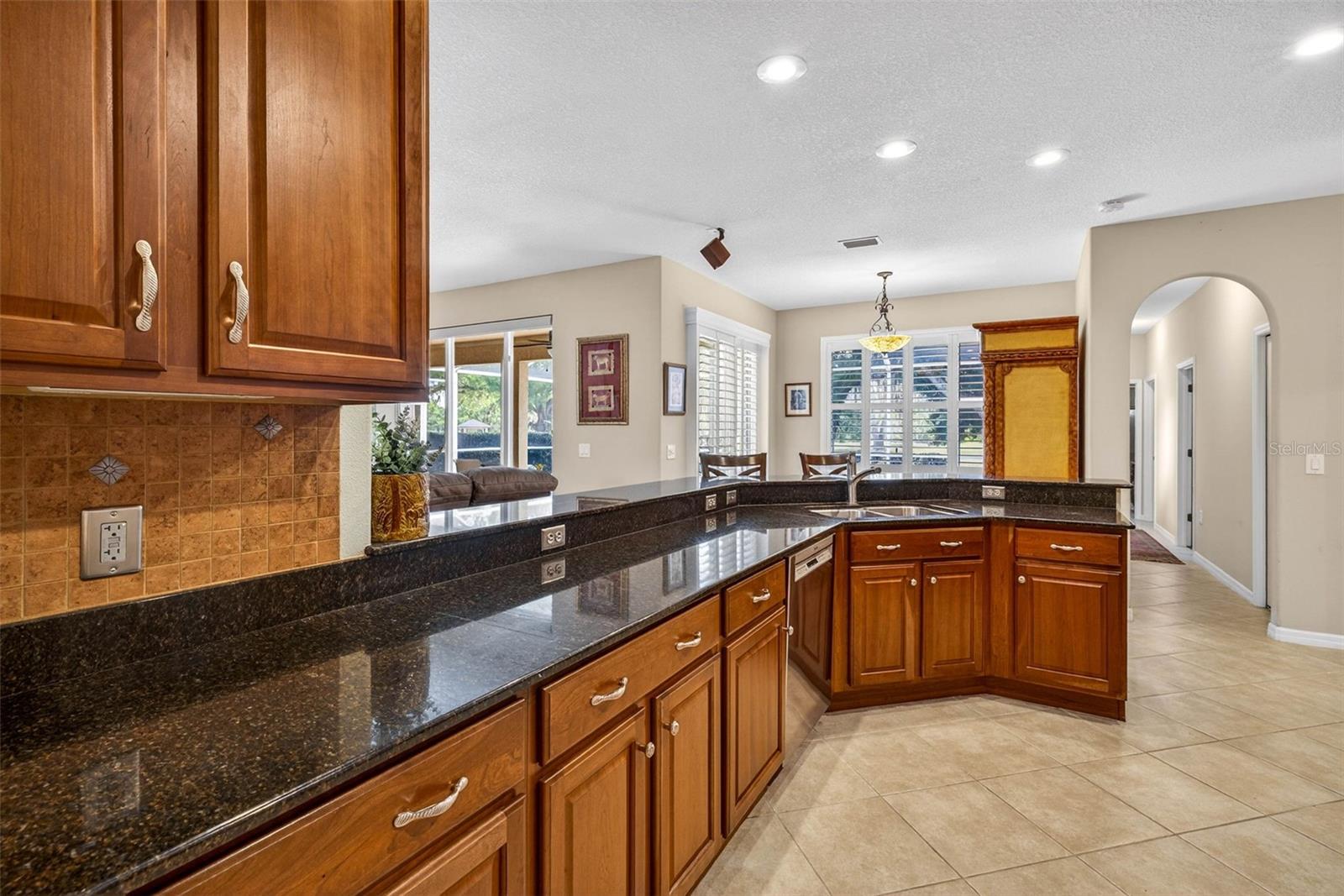 3819 SALIDA DELSOL DR, SUN CITY CENTER, FL — photo 9