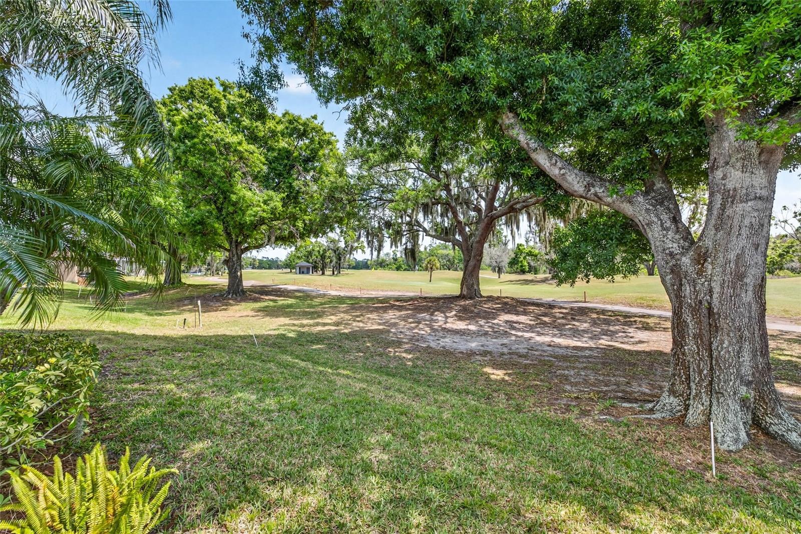 3819 SALIDA DELSOL DR, SUN CITY CENTER, FL — photo 50