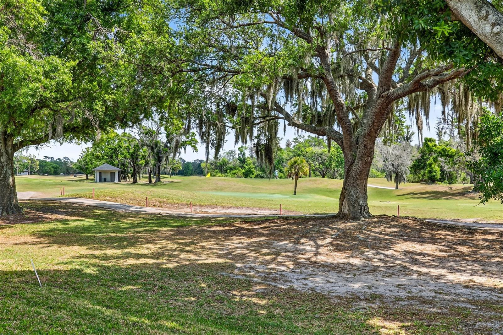 3819 SALIDA DELSOL DR, SUN CITY CENTER, FL — photo 51