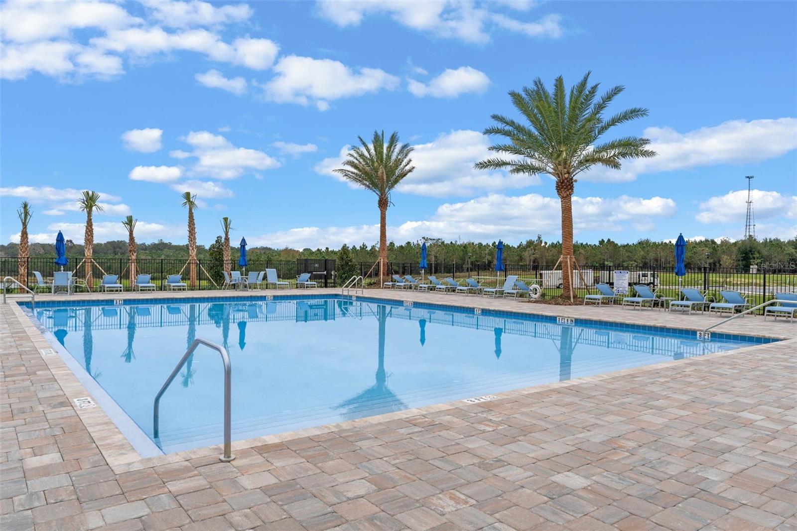 3515 NETTLE LOOP, TAVARES, FL — photo 49